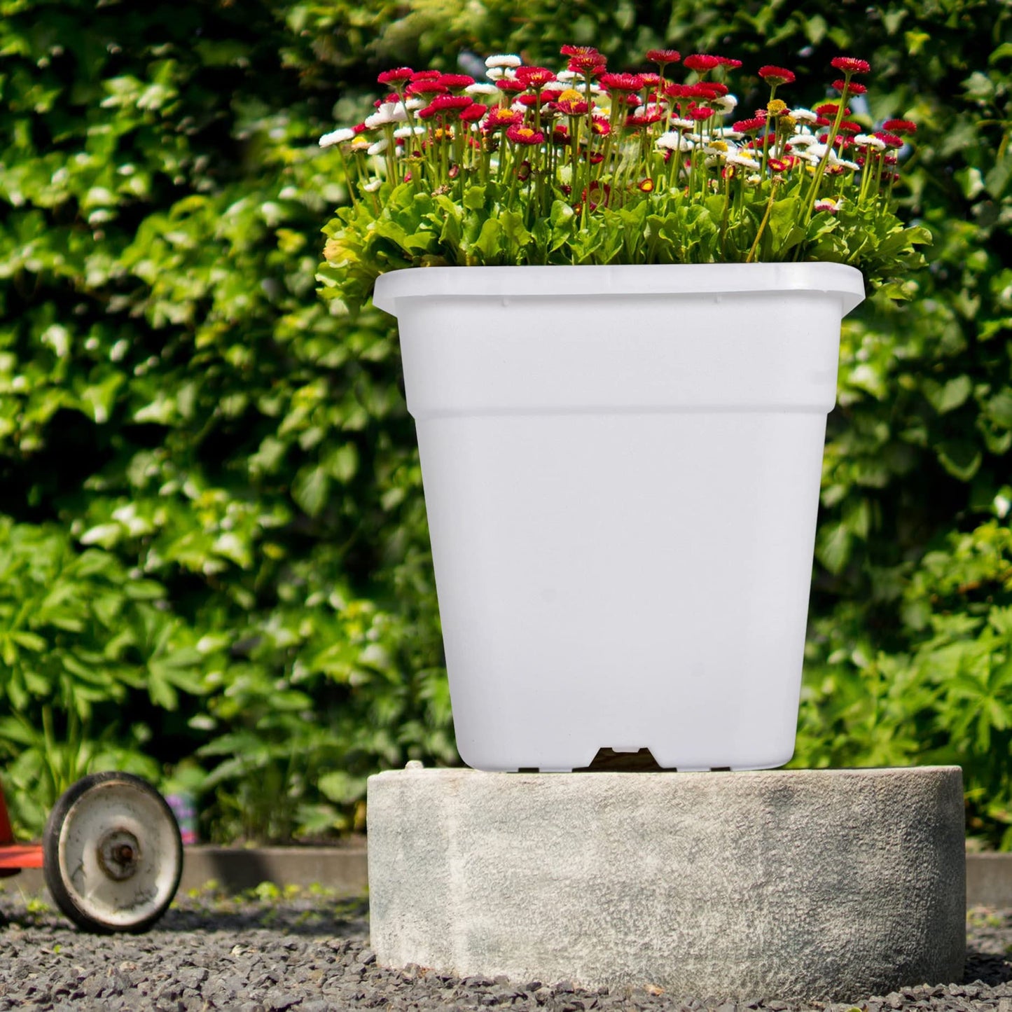 HOSTIC 1 Gallon Square Nursery Pots Flexible Plastic Pots for Plants Gallon Pot with Drainage Holes 10 Pcs