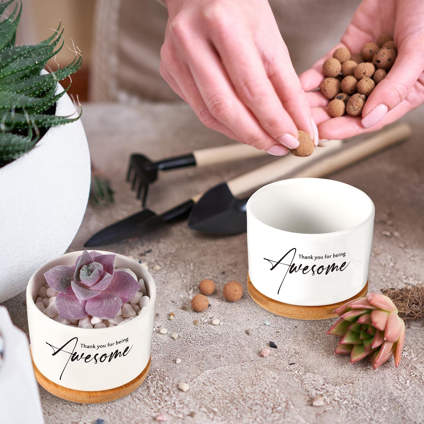 12 Pack Teacher Appreciation Gift Thank You Succulent Ceramic Mini Pots Nurse Week Gift with Bamboo Tray Succulent Planter for Employee Memorial Day Office Team Volunteer Desk Decor, Plants Excluded
