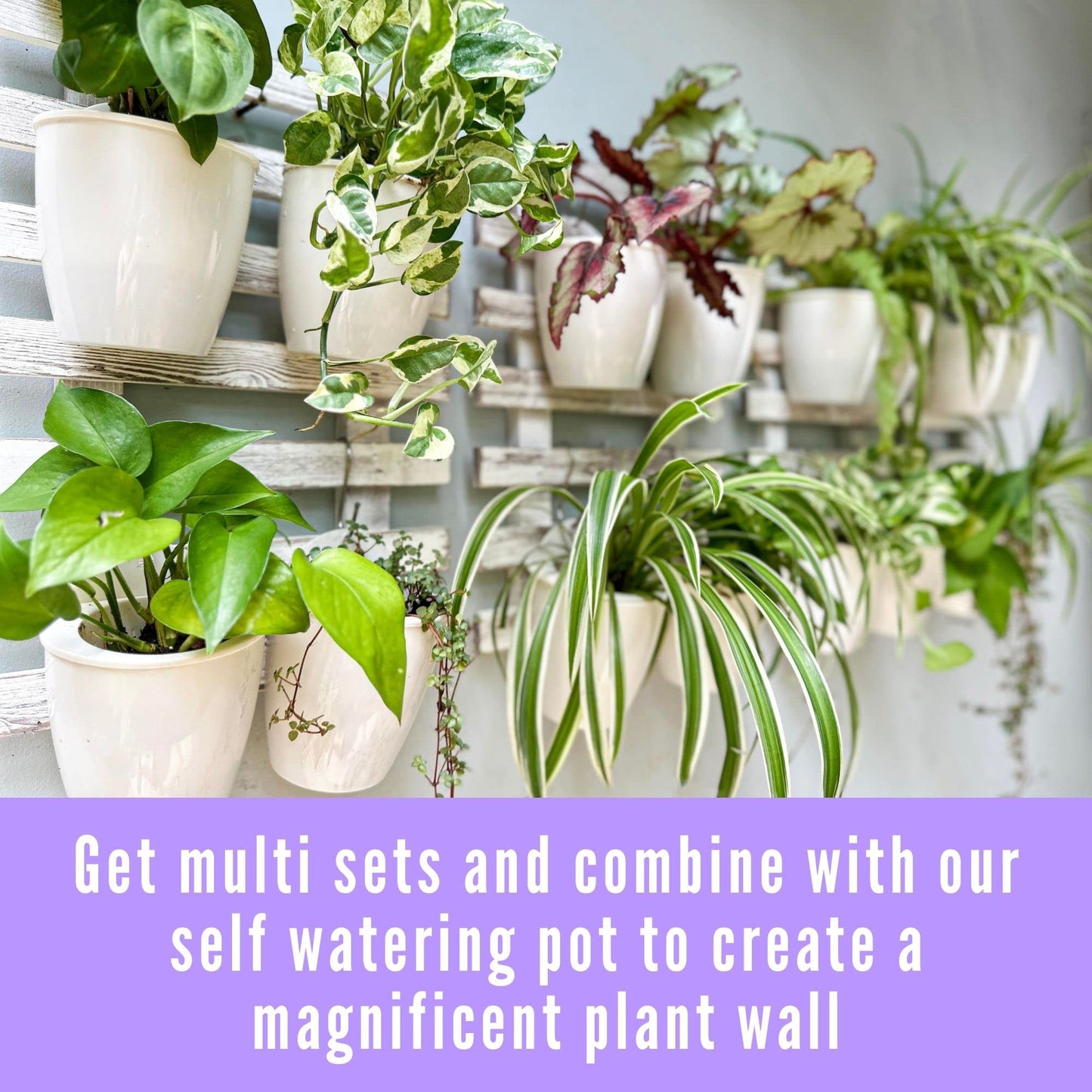 ShopLaLa Bundle - 4" White Self Watering Plastic Pots x 10 Pack + White Wooden Hanging Planter, Rustic Vertical Herb Garden Plant Holder Wall Mounted Modern Hydroponic Herb Pot LaLaGreen