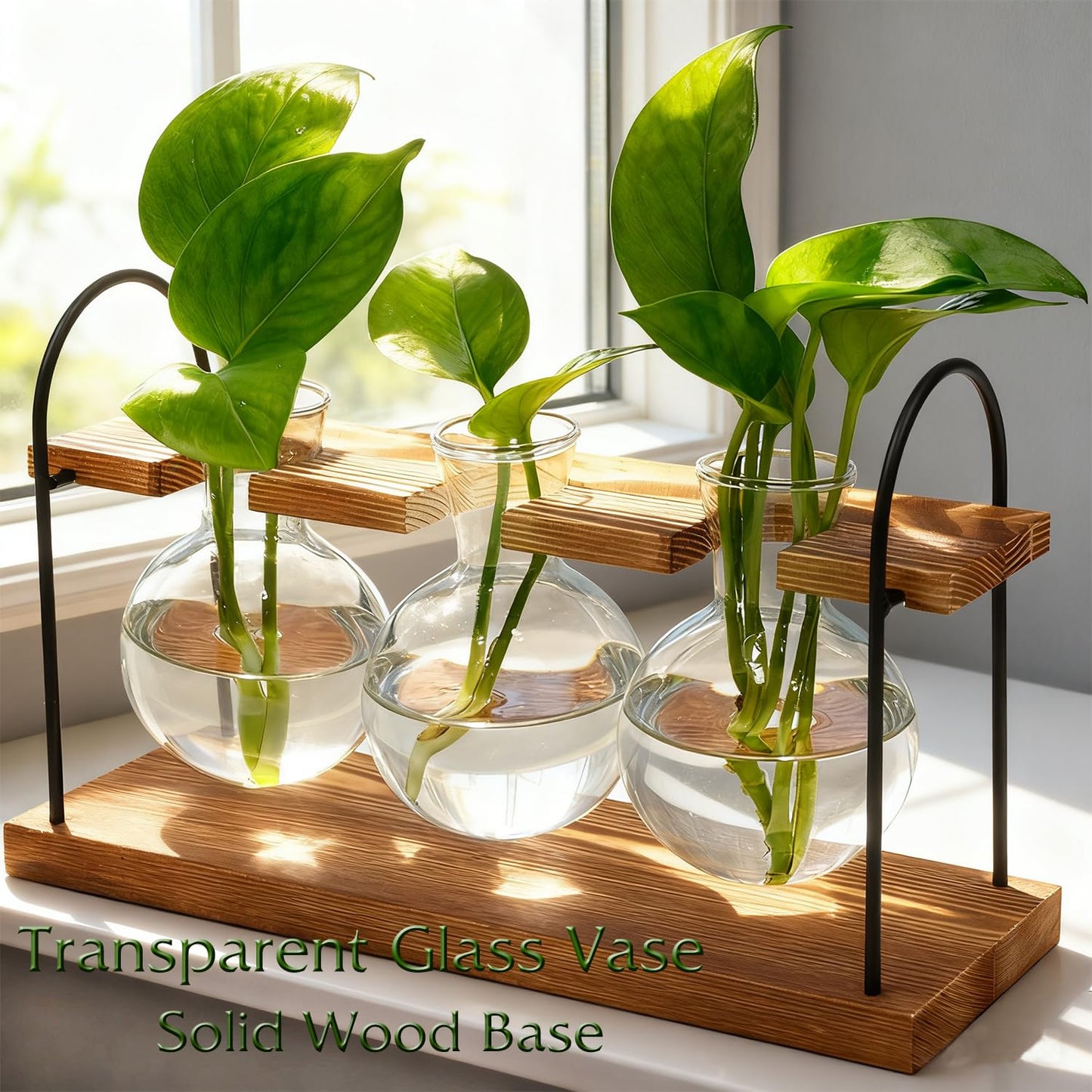 Plant Terrarium with Wooden Stand, The Ultimate Gift for Plant Lovers, Propagation Station with Retro Glass Bulbs, Creating a Stunning Tabletop Display of Hydroponic Greenery in Any Home or Office