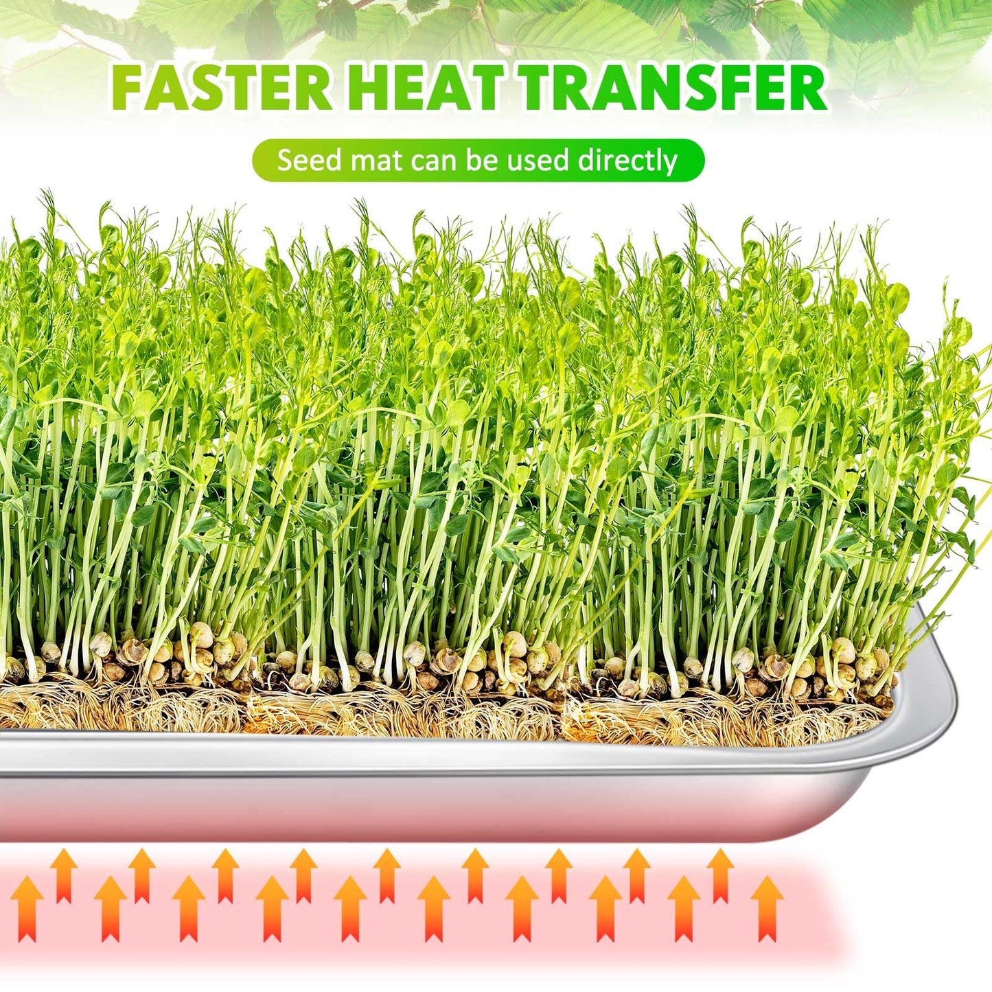 FillTouch 10 Pcs Stainless Steel Seed Starter Tray, Stainless Metal Garden Trays, Nursery Seedling Pots for Collection Transplantation & Propagation Flats, No Drain Holes(10.6 x 7.9 x 1.4 Inch)