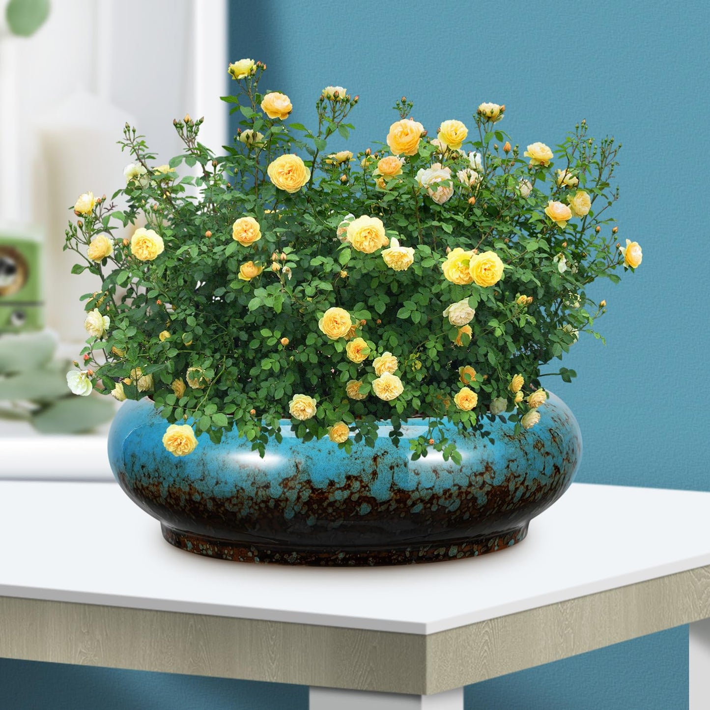 Toddmomy Lotus Planter Bowl 6.88 Inch Round Shallow Plant Pot with Drainage Hole Decorative Succulent Planter for Indoor Bonsai and Flower Plants