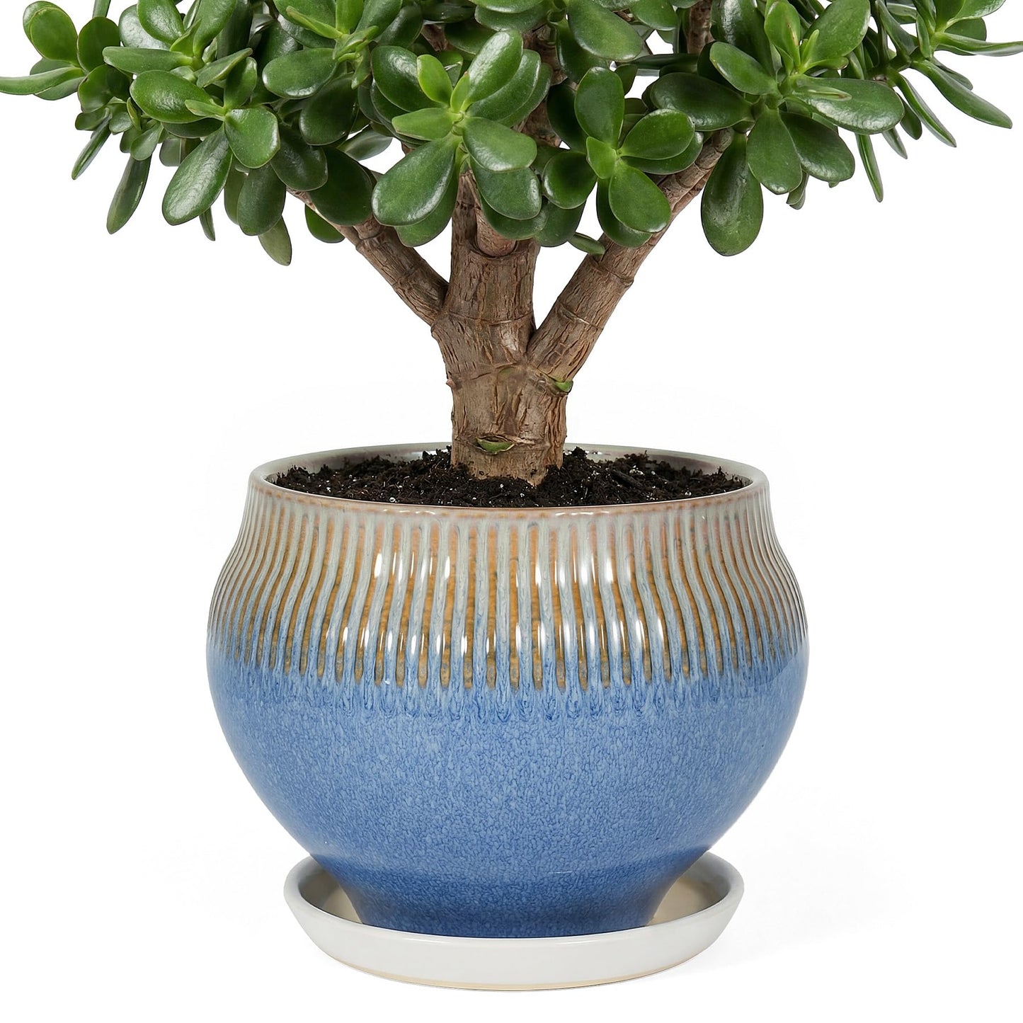 SAFIOROIS 10.6 Inch Modern Ceramic Plant Pot with Drainage Hole and Mesh Net, Indoor Outdoor Planter with Saucer & Gardening Glove, Pots for Succulents, Flowers, Large Plants, Blue