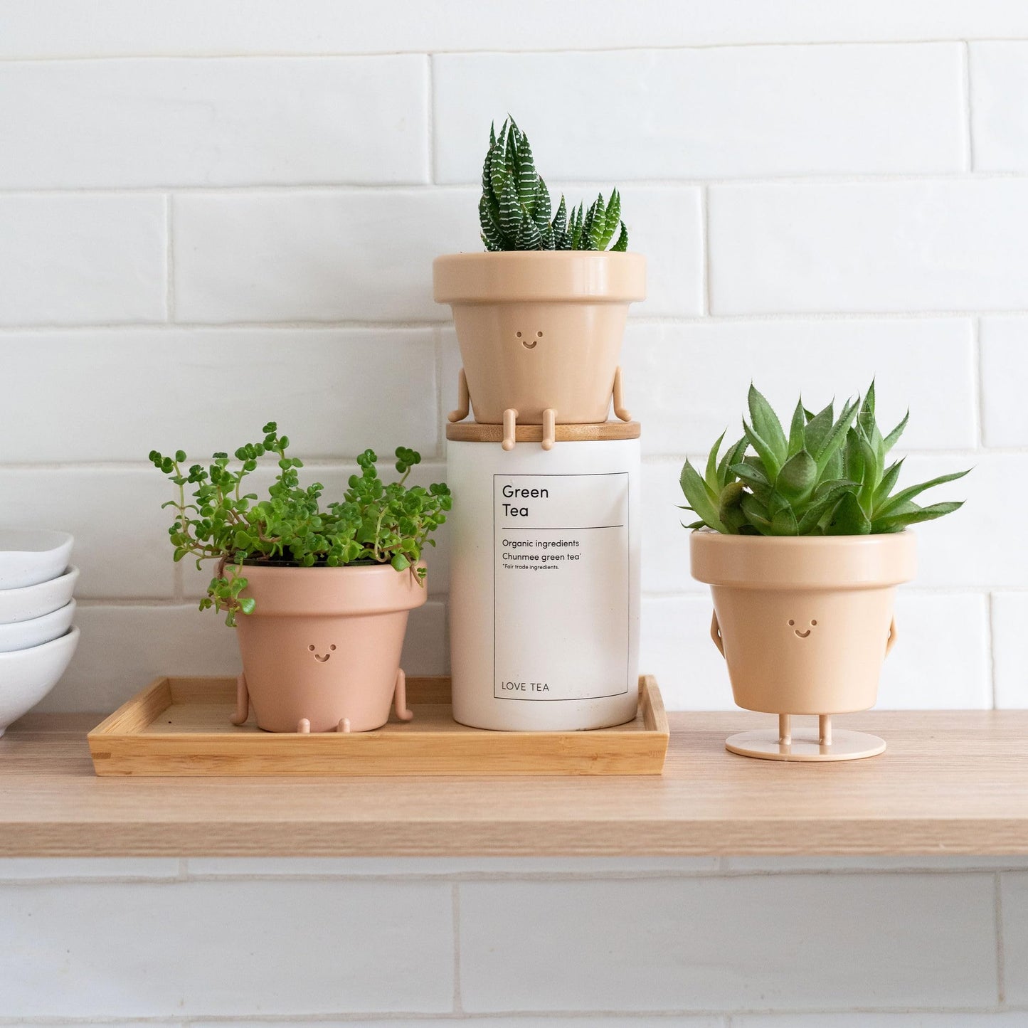 Cute Indoor Plant Pots Set of 3, Unique Plastic Succulent Pots for Plant Lovers (Plants NOT Included)