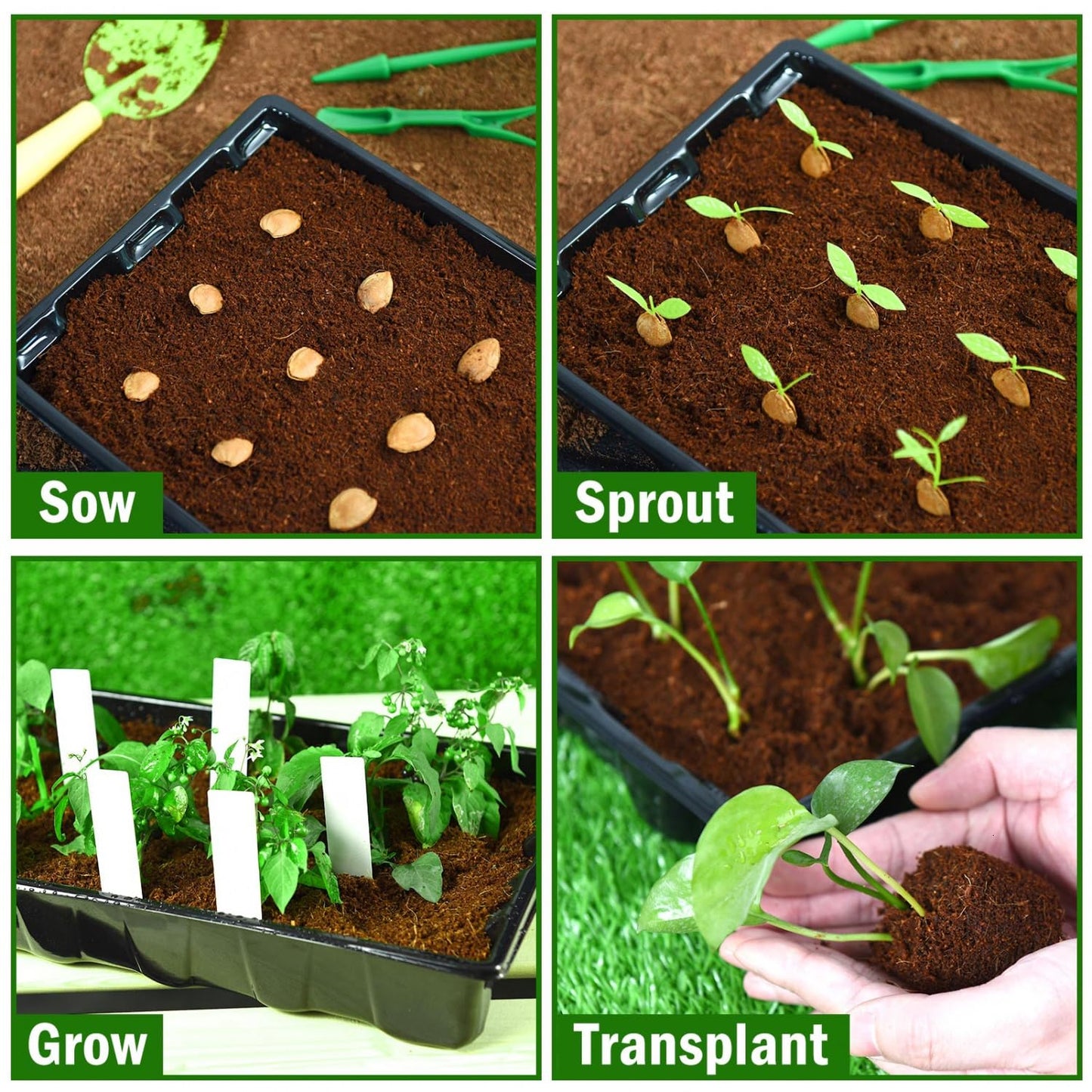 YoleShy 5 Packs Seed Starter Tray with Dome Reusable Plastic Plant Growing Trays with Humidity Domes Thickened Sturdy for Seed Starting Germination Growing Seedling Propagation,14.5"x9"