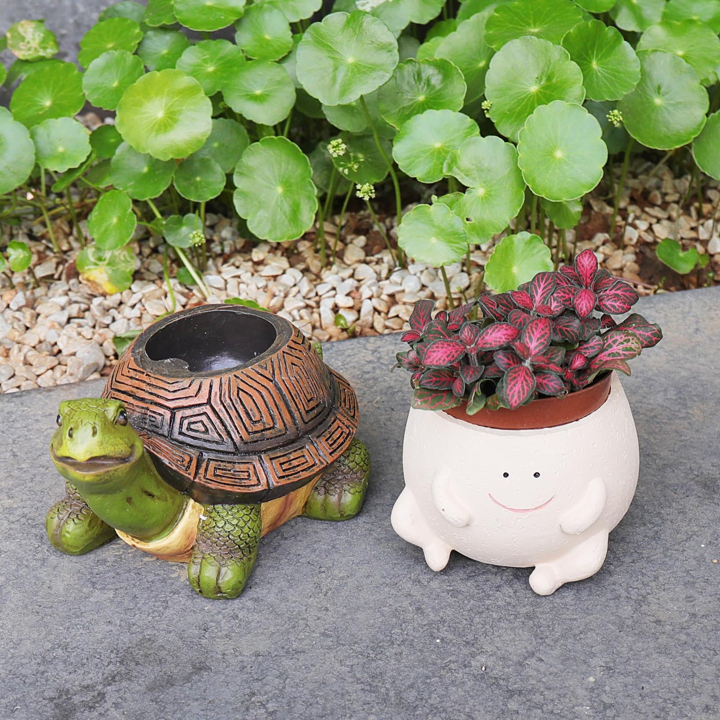 Pricetail Cute Turtle Succulents Planter Funny Smiley Face Split Design Turtle Planters for Indoor Outdoor Plants, Funky Flower Pot fro Small Succulent Plants, Gift Ideas for Mother, Christmas