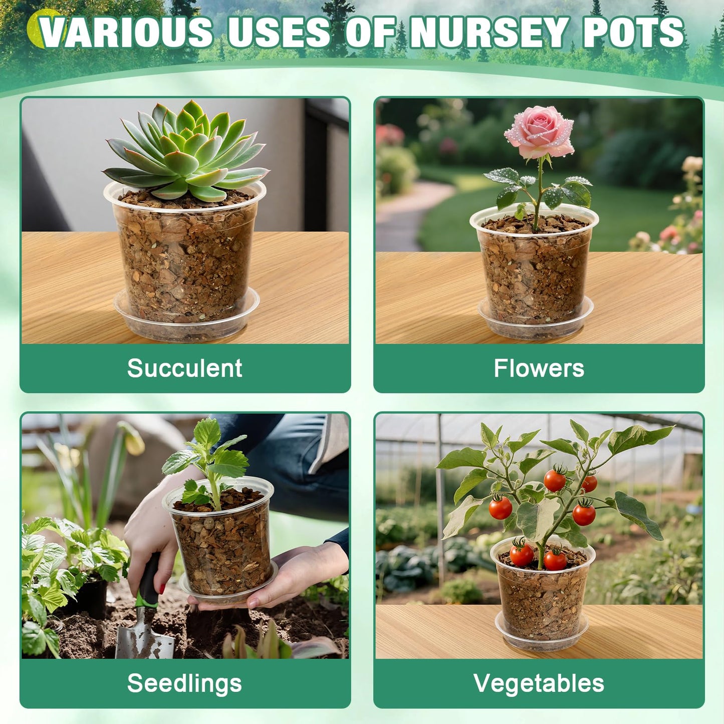 RAOOKIF 10/8/6/5 Inch Clear Nursery Pots with Drainage Hole and Saucers, 12 Pack Large Nursery Pots for Plants for Indoor Outdoor, Plastic Clear Plant Pots for Flowers, Succulents, Vegetables