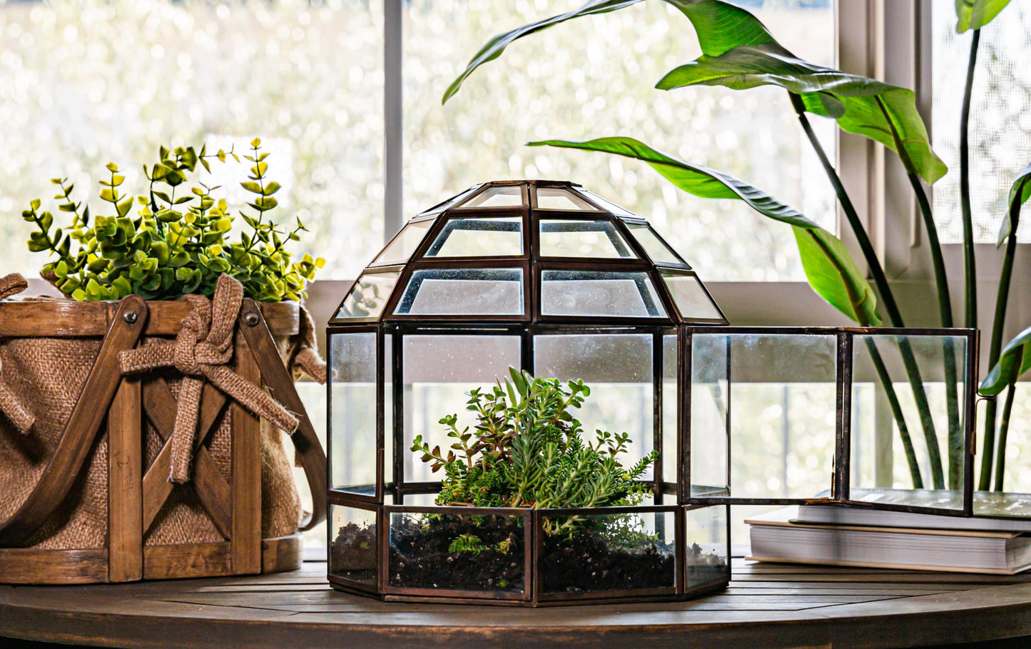 Urban Born Large Terrarium Birdcage, Glass and Metal Indoor Display Case, Unique Gift Idea, Succulent Container, Orchid Planter, Home Decor. (Bronze) 10" x 9"(Diameter)