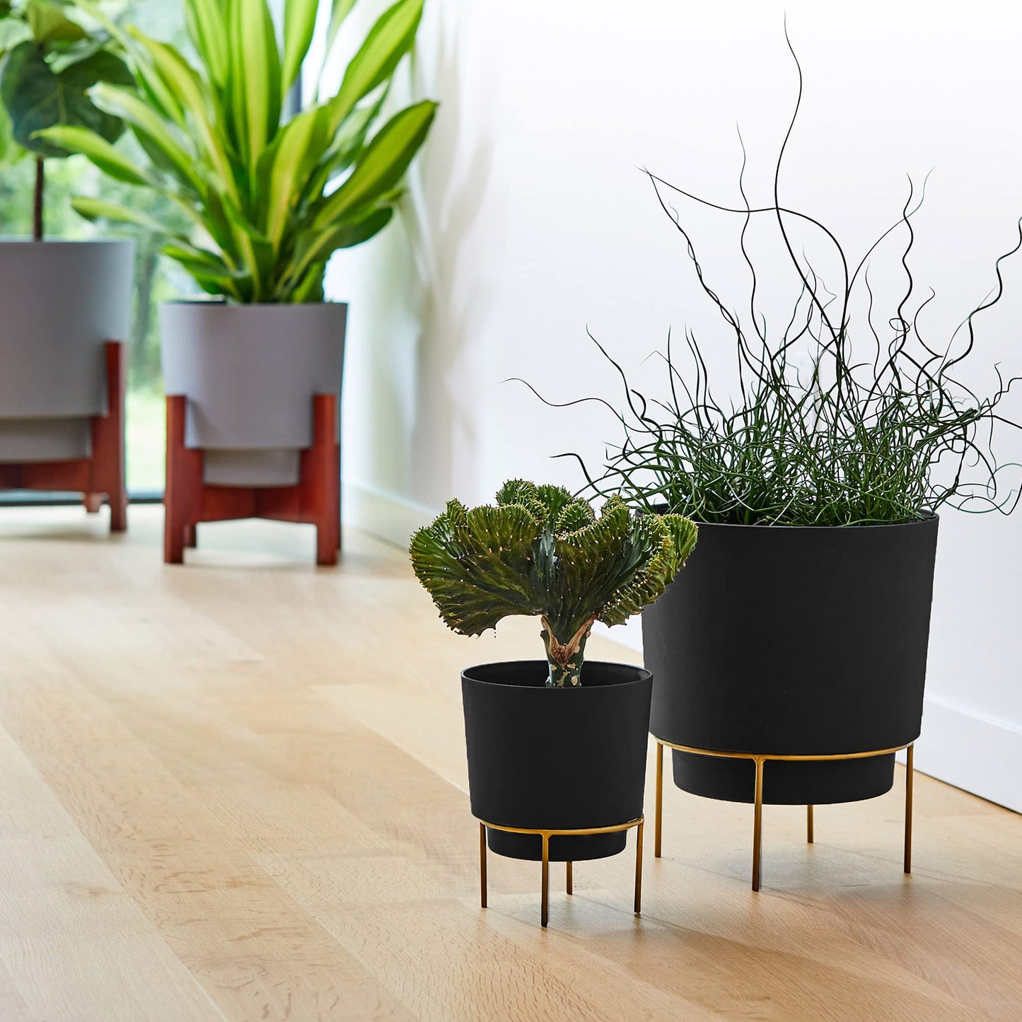Bloem Hopson Decorative Resin Cachepot with Metal Stand, 6" Indoor and Outdoor Planter with Gold Metal Stand, Black