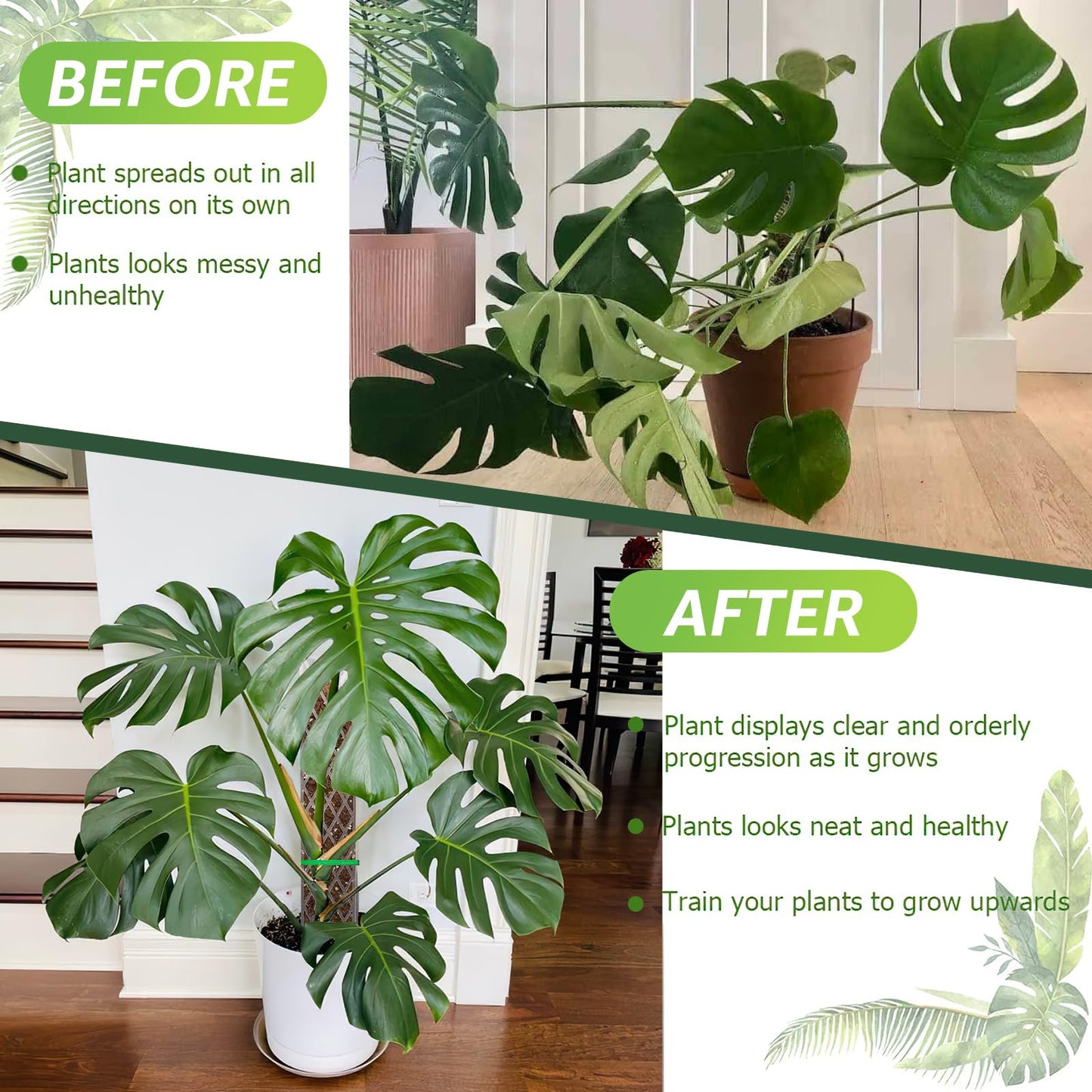 Sisher 6 Pcs Monstera Moss Pole,Plastic Moss Poles for Climbing Plants Work with Sphagnum Moss,6×16'' Plant Support for Indoor Plants,Garden Ties