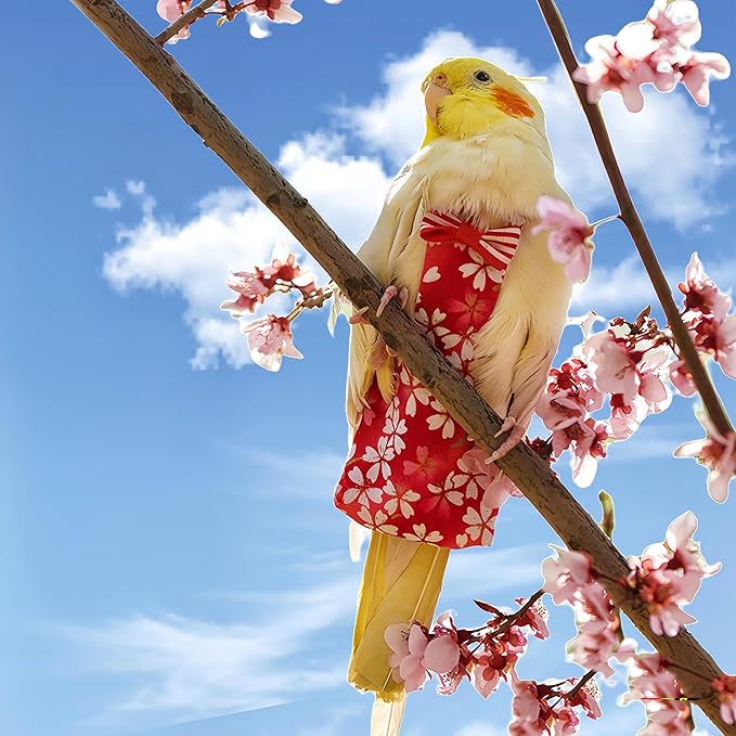 2 Pcs Bird Diapers Bird Harness Flight Suits Diapers with 80in Flying Leash Reusable Parrot Nappy with Waterproof Inner Layer for Cockatiel Budgie Conure Parakeet Lovebird-Red&White