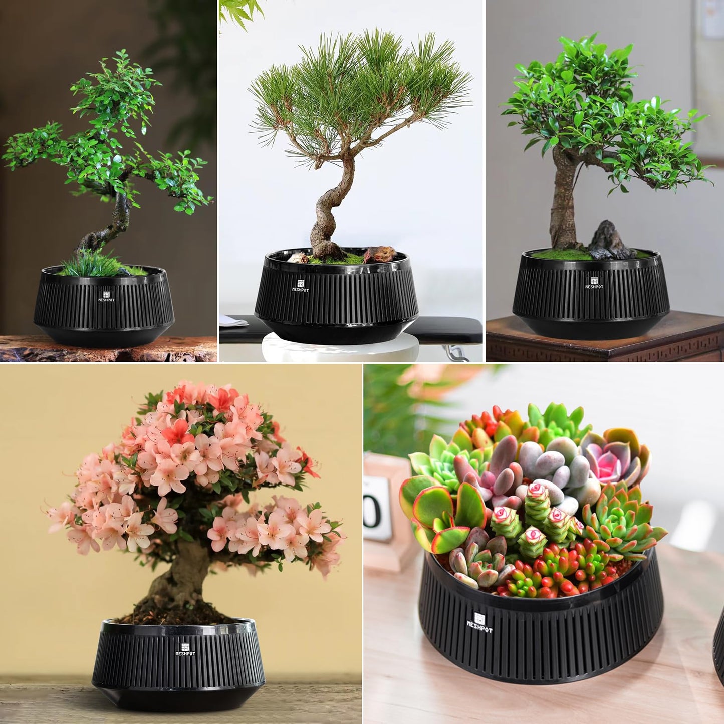 Meshpot 8 Inch Bonsai Pots with Drainage Tray, Set of 1, Plastic Imitate Ceramic Bonsai Tree Pot with Excellent Airflow, Large Succulent Pots for Indoor Plants, Juniper, Ficus, Chinese Elm, Cactus