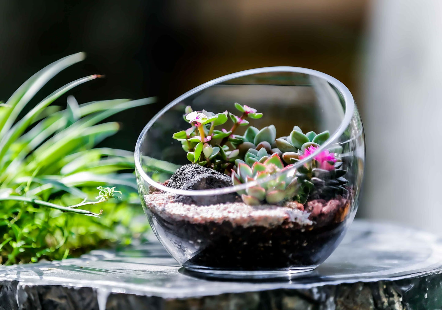 CYS EXCEL Glass Slant Cut Bubble Bowl (H-6" W-7") Clear Flower Vase Globe Bowl Terrarium Round Planter Decorative Centerpiece