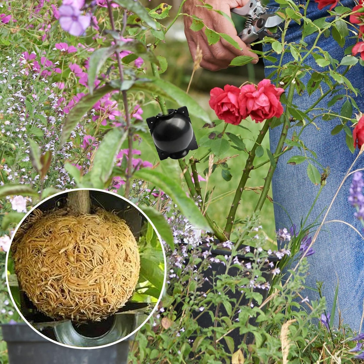 20 PCS Propagation Stations Air Layering Pods, Reusable Rapid Root Plugs Air Layering Propagation Kit Grafting Tool Take Root Box Plant Propagation Ball Tree Grafting Supplies Plant Root Growing Box