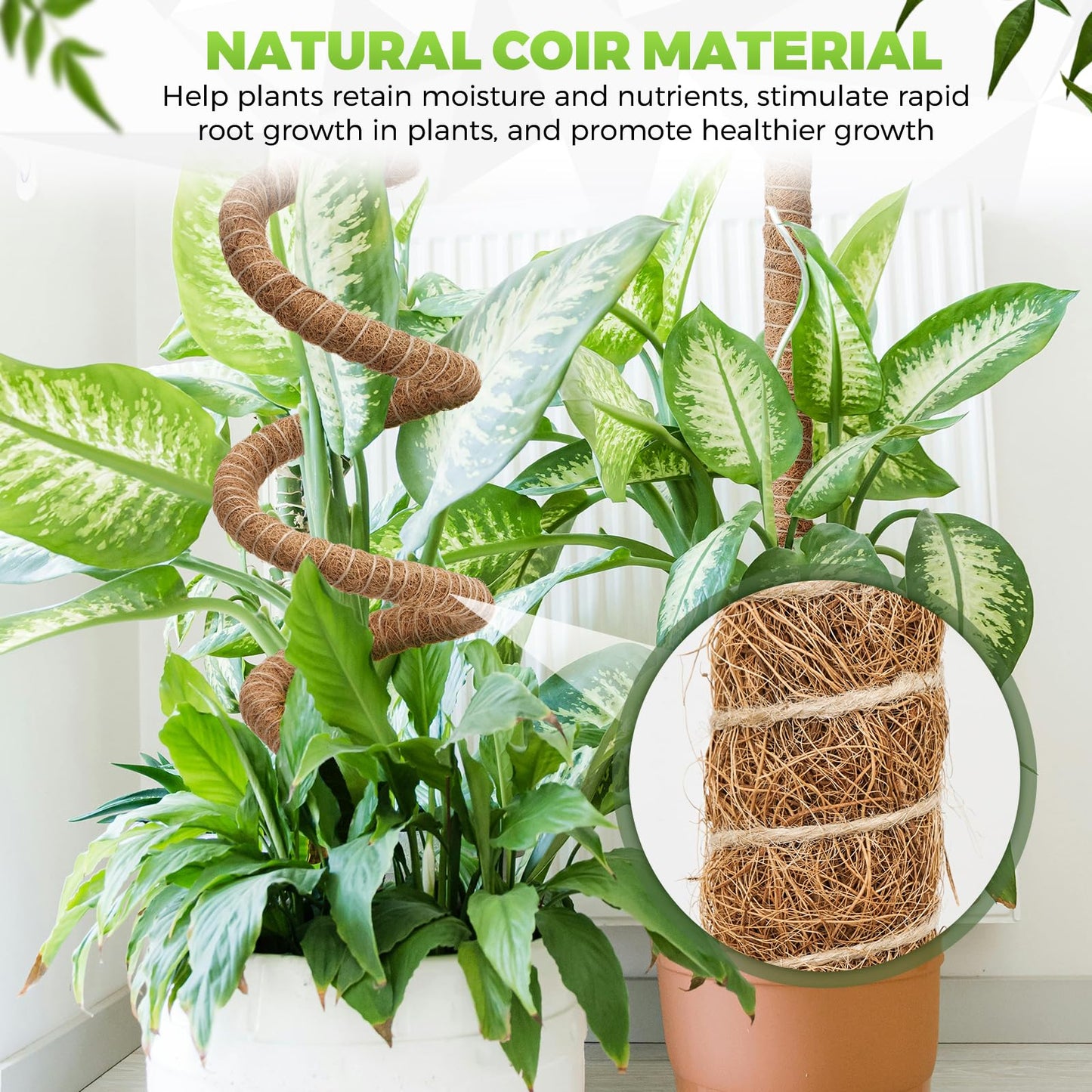 2 Pack Moss Pole Monstera Plant Support 63 Inch Bendable Monstera Support for Climbing Plants Extra Large Handmade Moss Poles Aluminum Plant Support Stakes Indoor Grow Upwards