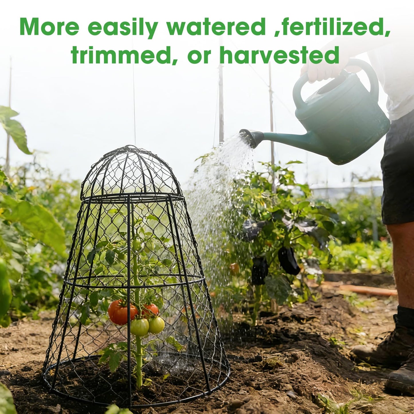 12 Pcs Garden Cloches for Plants, 17" H x 13" D Metal Chicken Wire Cloche Plant Covers Sturdy Plant Protectors Garden Netting Plant Protectors from Animals to Keep Bunnies Chicken Squirrels Birds Out