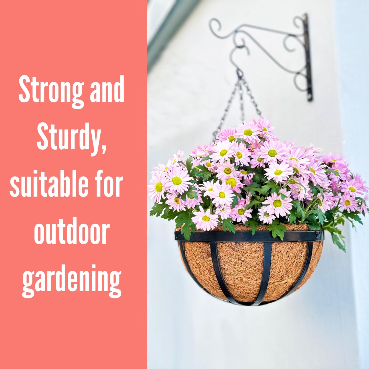 LaLaGreen Outdoor Hanging Baskets for Plants (12 Inch, 2 Pack) Medium Black Hanging Planters with Coco Liner, Metal Flat Iron Flower Pots for Deck Patio Porch Modern Garden Balcony Outside Decoration