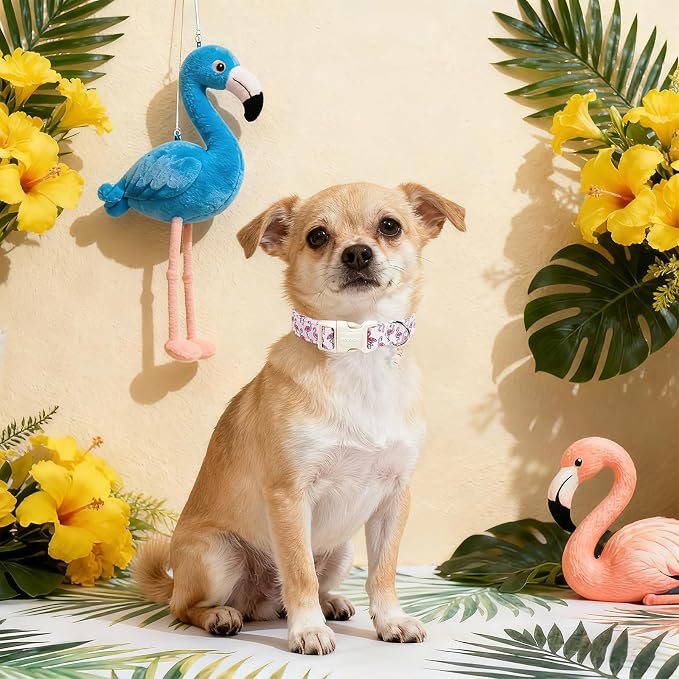 DOGWONG Cute Pet Dog Collar Pink Flamingos Cotton Dog Collar- Soft Girl Puppy Adjustable Pet Collars for Small Medium Large Dogs,XS