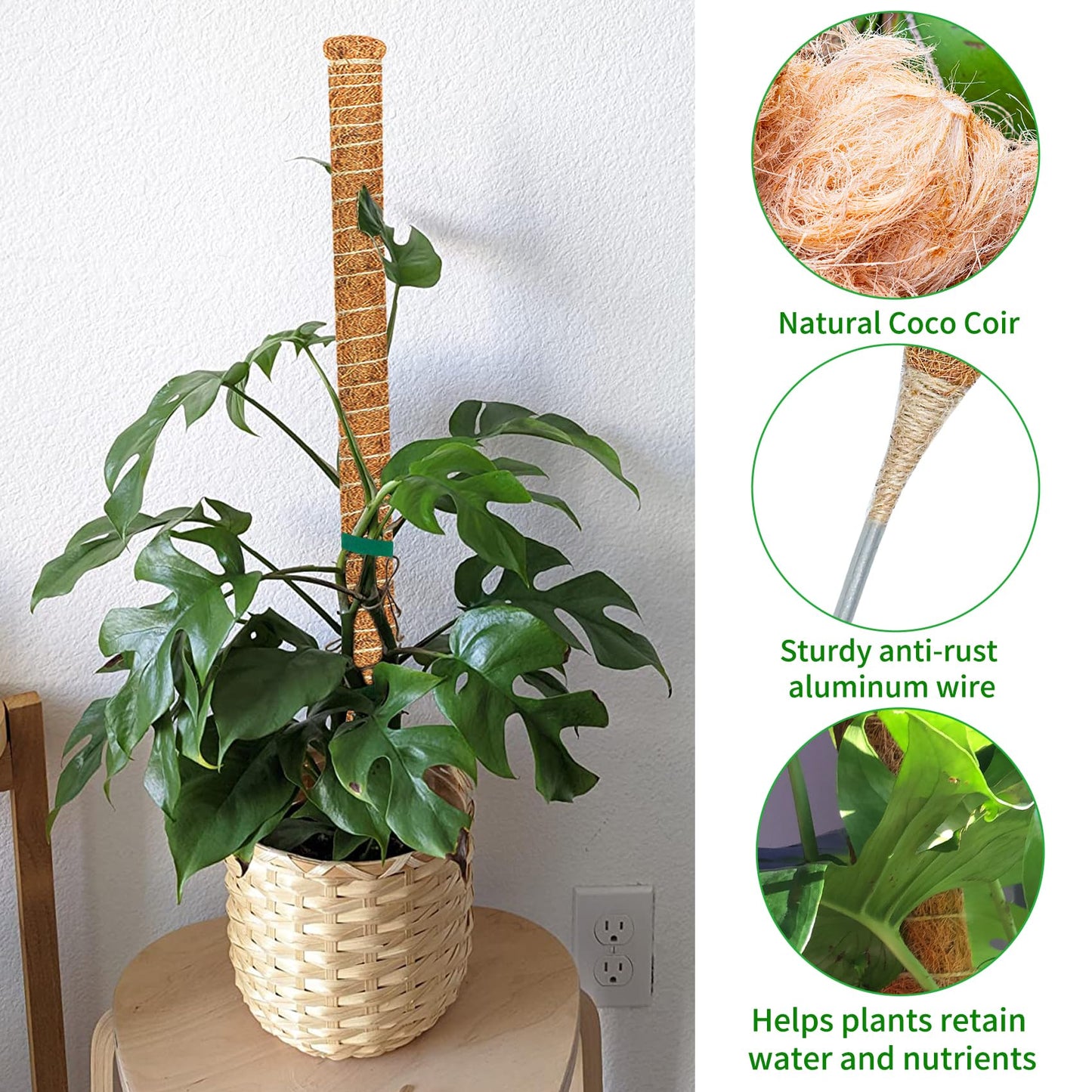 Dimpoo 2 Pack 60 Inch Moss Pole Monstera Plant Support, Coir Moss Poles for Climbing Indoor Plants, Bendable Plant Stake Trellis for Potted Plant, Pothos, Philodendron