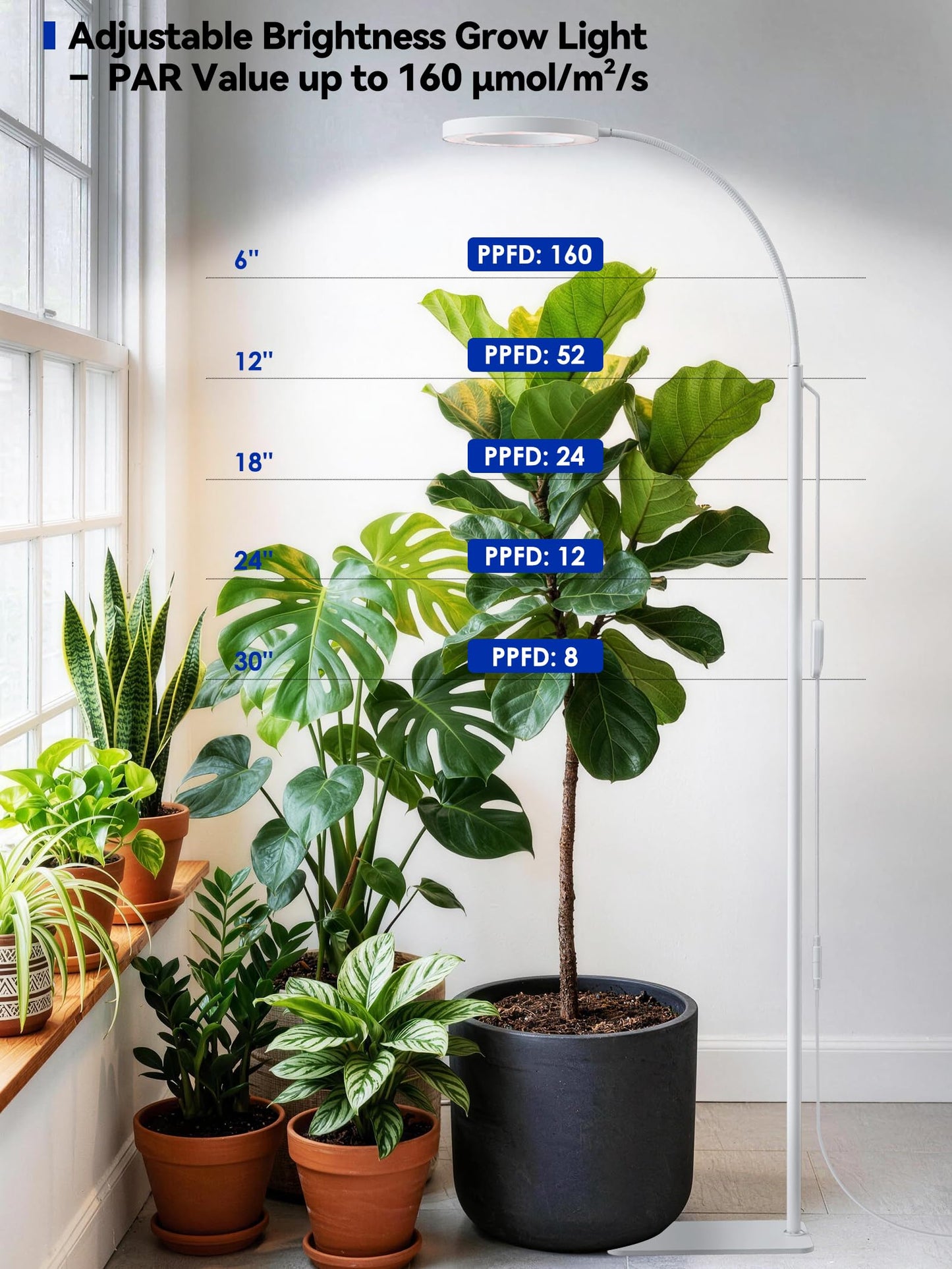 GLOWRIUM Grow Lights for Indoor Plants, Full Spectrum LED Grow Light Floor Lamp with Stand Adjustable Height and Angle, Black Plant Light with 3/9/12H Grow Light Timer (White, 36W)