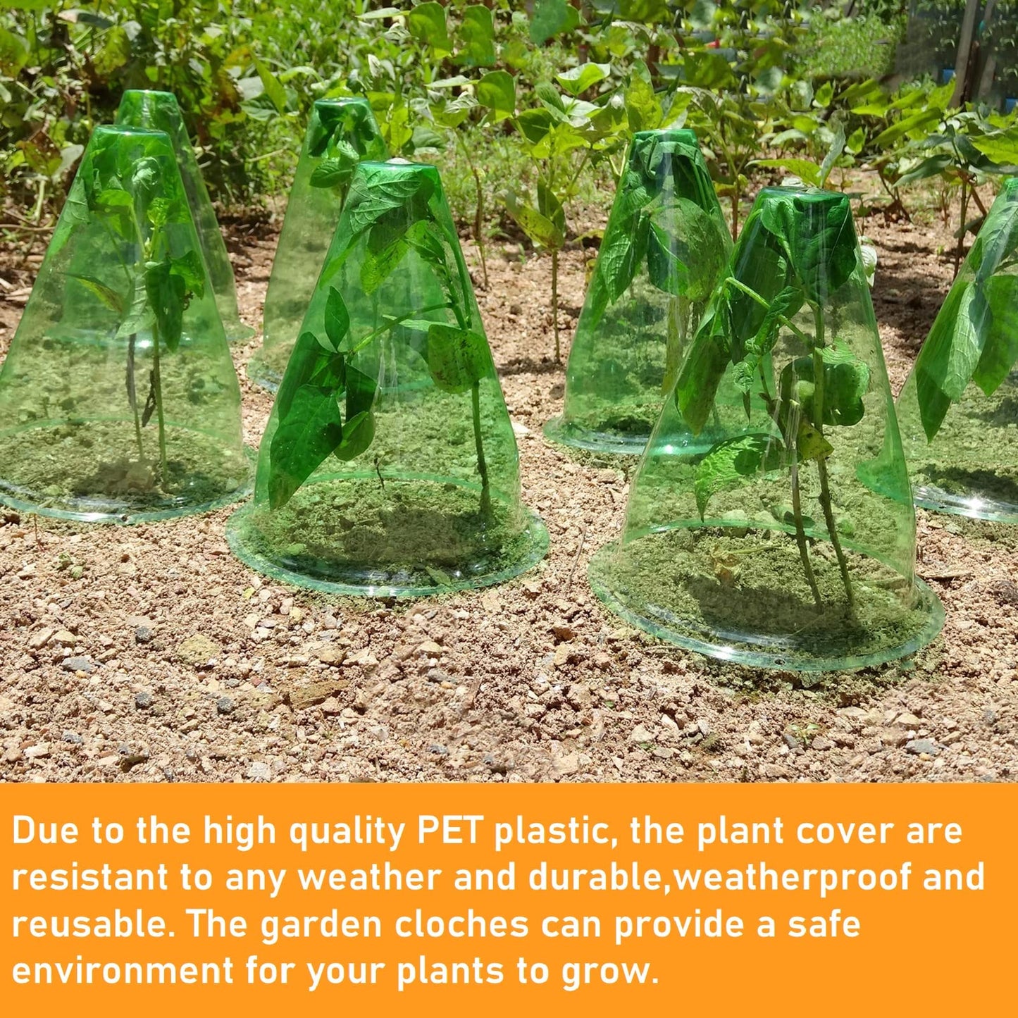 【12 Pieces】 Garden Cloches for Plants, Multifunctional Plant Covers Plant Protectors Transparent Bell Jar Cloches to Protect Plants from Birds, Slugs, Frost, Freeze Weather, 7.8" D x 9.4" H, Green