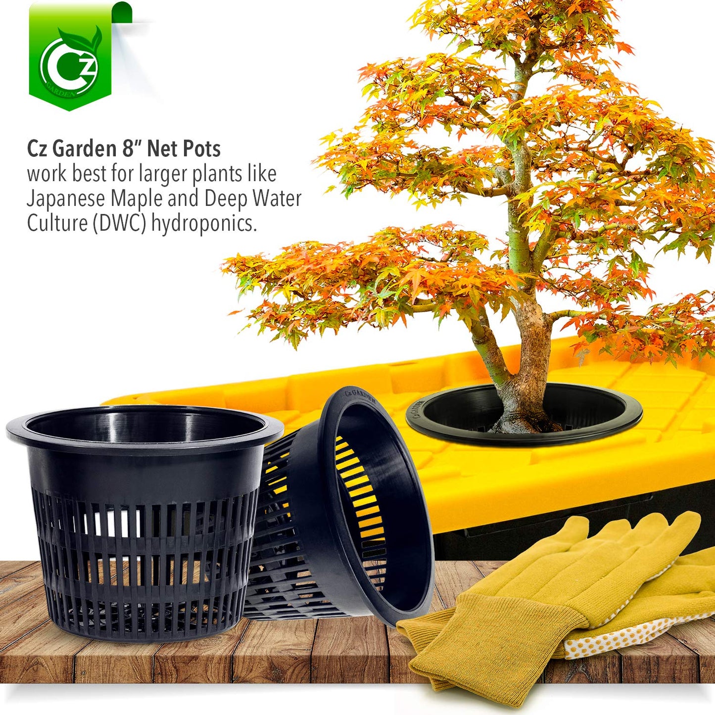 8 inch Net Pots Heavy Duty Round Cups Wide Rim Design - Orchids • Aquaponics • Aquaculture • Hydroponics Slotted Mesh (Cz Garden All Star 5 Pack Black)