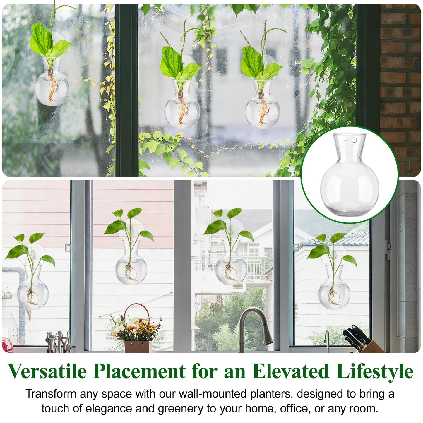 Doodlream 12PCS Wall Hanging Propagation Stations, Glass Planting Vases with Suction Cups and Cleaning Brush, Window Hanging Hydroponic Plant Terrariums for Pothos Ivy Herbs, Indoor Home Garden Decor