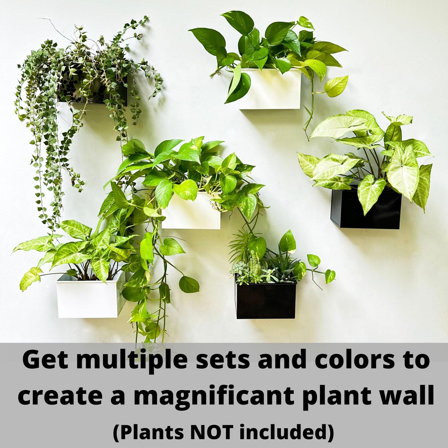 LaLaGreen Wall Planter - 3 Pack, 6 Inch Wall Mount Planters for Succulents White, Rectangular Metal Hanging Flower Pot, Window Box Fence Railing Air Plants Holders Plant Shelf Indoor Rustic Decor