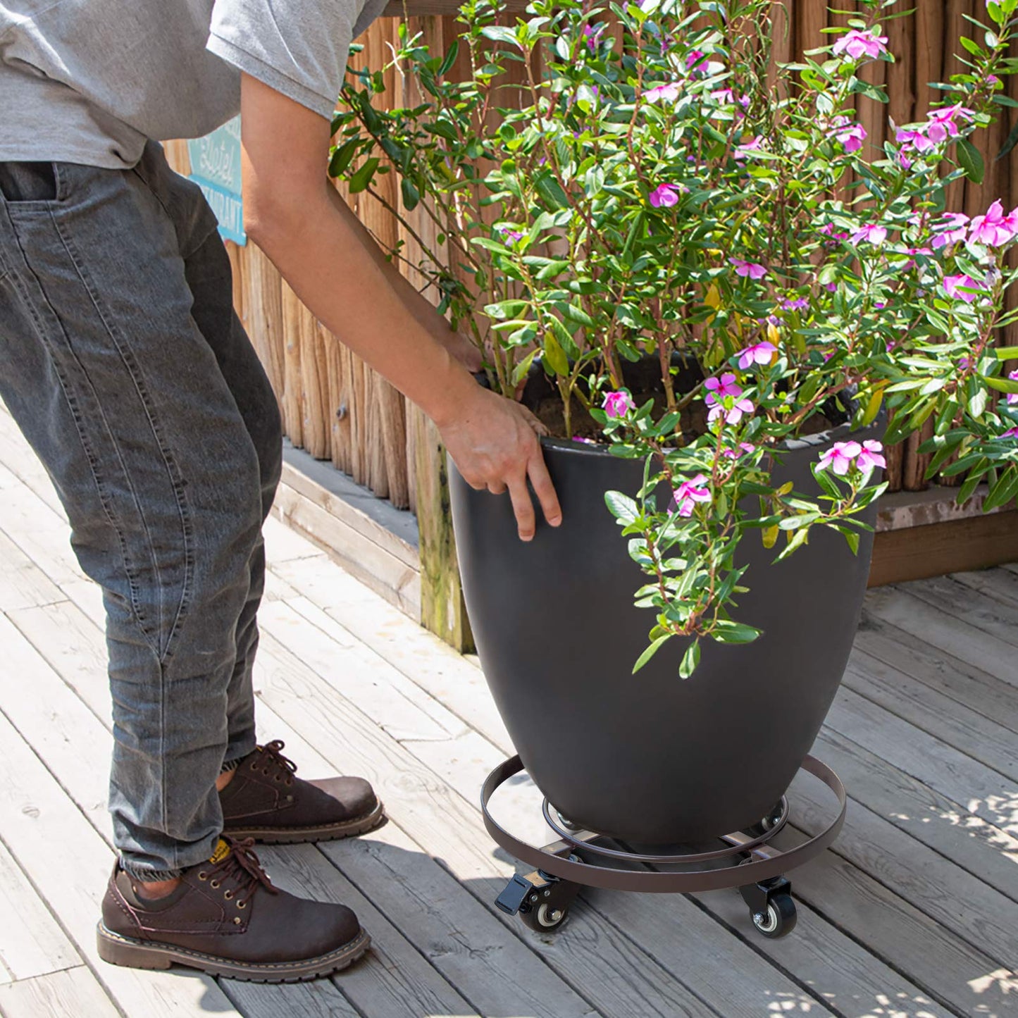 AMAGABELI GARDEN & HOME Metal Plant Caddy with Wheels Heavy Duty Iron Rolling Casters Plant Stand 2 Pack 12" Rollers Round Flower Pot Rack on Dolly Holder Indoor Outdoor Planter Trolley