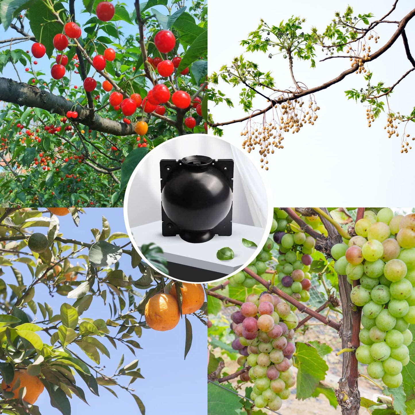 Lazzineer Tree Root Growing Box, Reusable Transparent Plants Asexual Reproduction Grafting Ball, High Pressure Air Layering Pods Propagation Kit (20pcs Small)