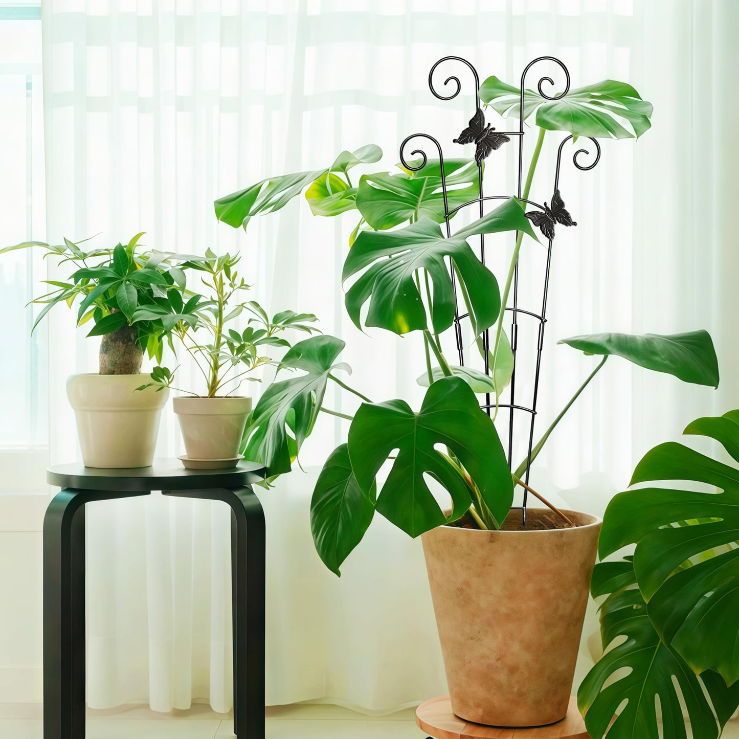 COOMIN 30'' Monstera Plant Support Outdoor, Metal Expandable Plant Supports for Indoor Plants, Garden Monstera Trellis for Climbing Plants Indoor, 4pcs