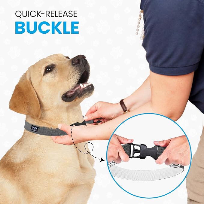 Hypoallergenic Dog Collar - Great for Sensitive Skin, Soft Collar for Dogs, Soft Organic & Earth Friendly (Medium, Yellow)
