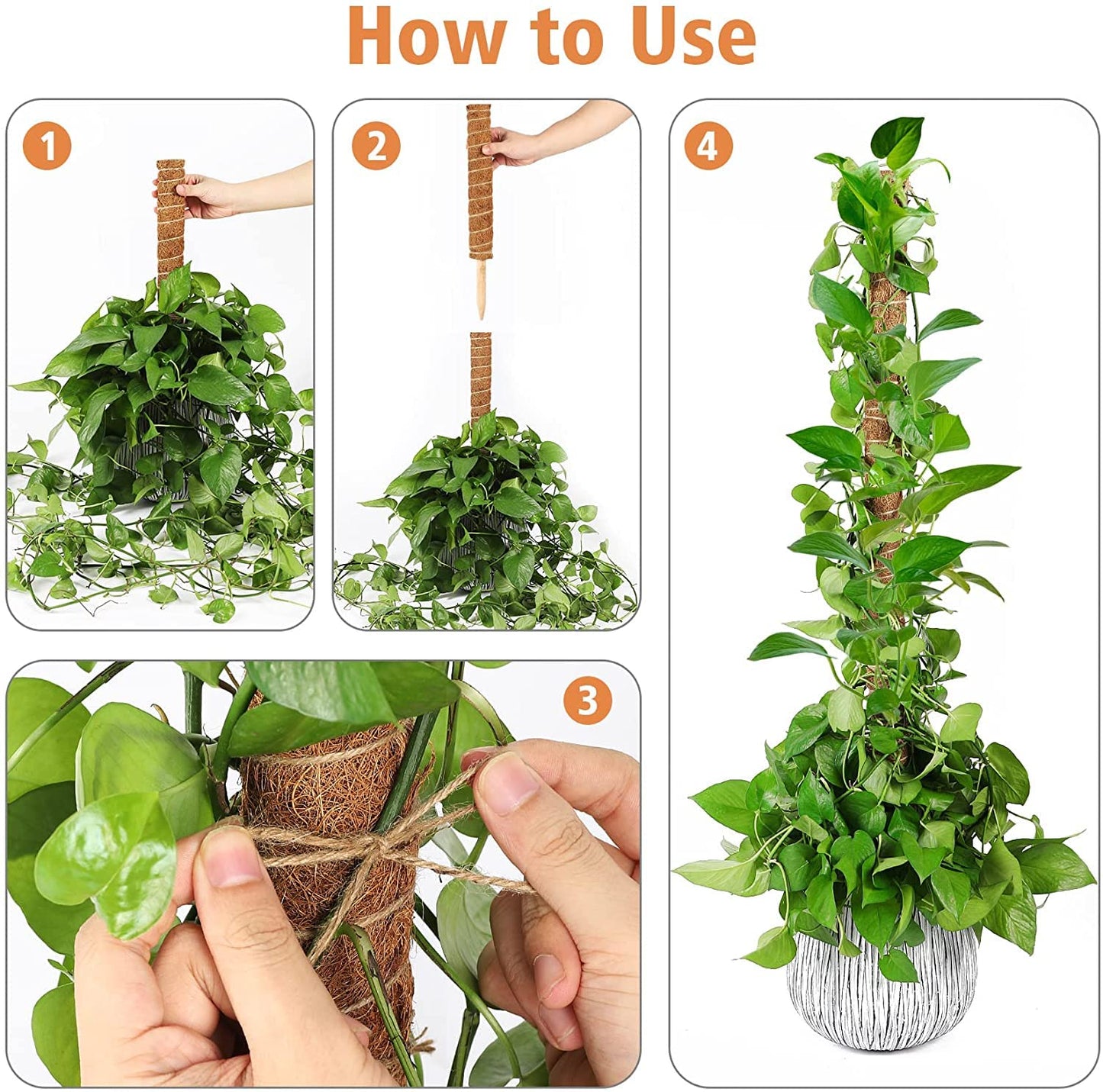 【2 Pack】 JJGoo Moss Pole, 2 Coco Coir Totem Poles Extending to 29 Inches, Plant Support Stick for Indoor Plants Climbing Plants Monstera, Sphagnum, Pothos