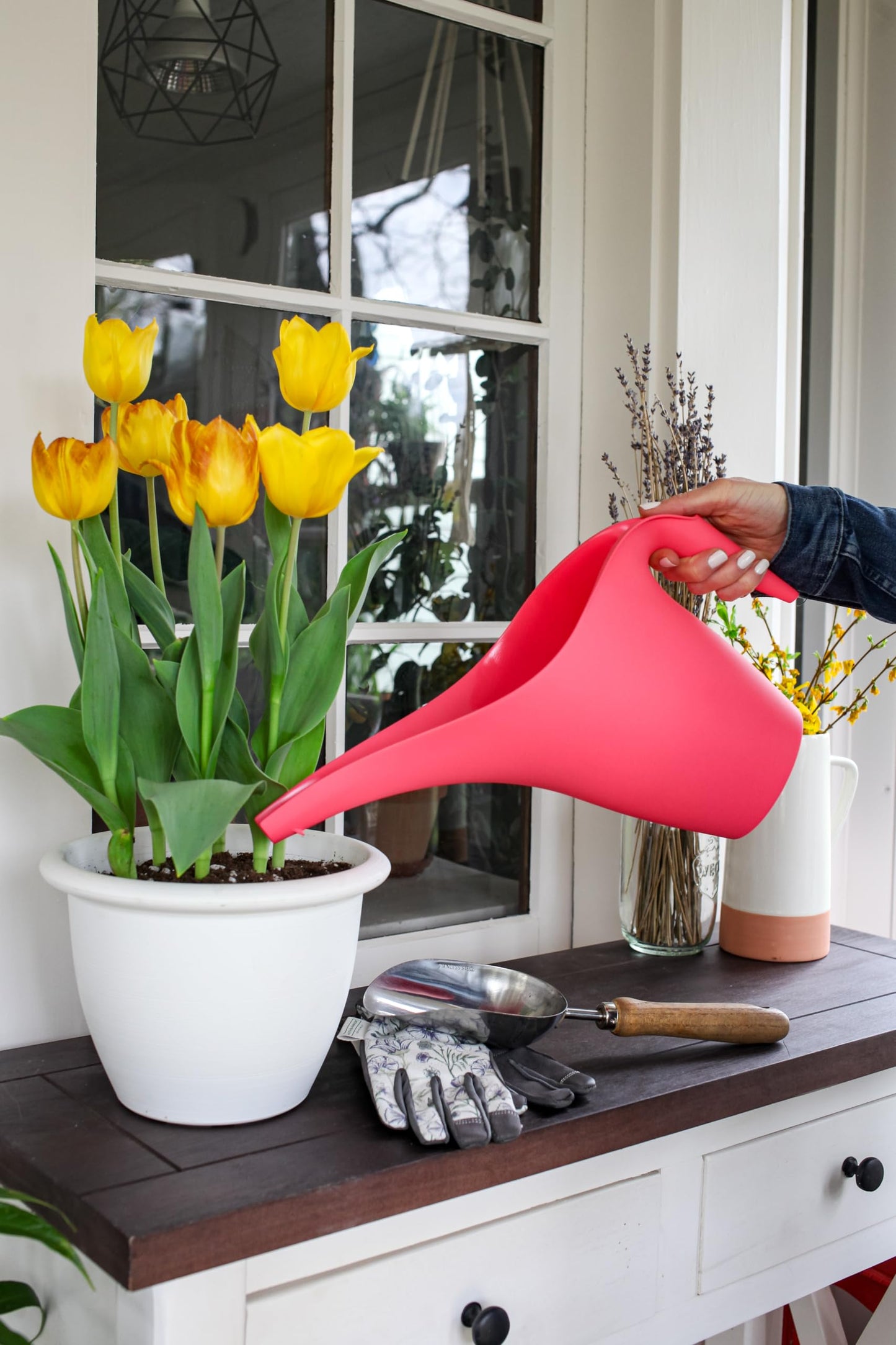 The HC Companies 1/2 Gallon Essential Watering Can for Indoor Outdoor Plants, Watermelon (Pack of 2)