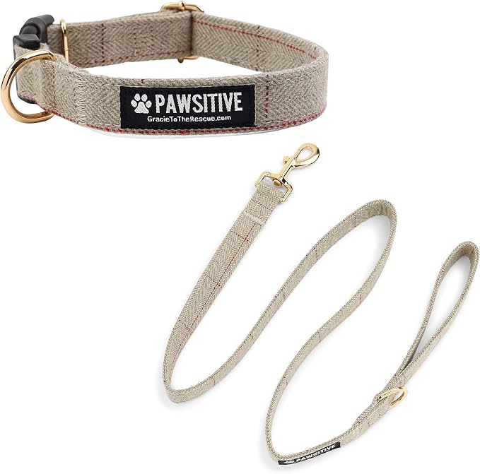 Pawsitive Wool Dog Collar - Hypoallergenic Dog Collar, Great Dog Collar for Sensitive Skin, Soft Collar for Dogs, Soft Organic Dog Collar Eco-Friendly (Medium, Beige and Leash)