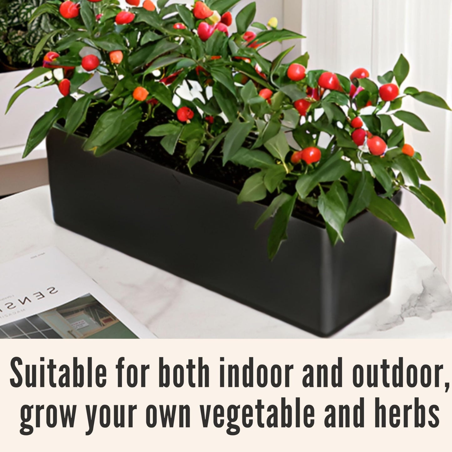 LaLaGreen Bundle- 2-Pack, 16 Inch Rectangular Self Watering Planter + 10-Pack, 5 Inch Black Self Watering Plastic Pot Decorative Eco Living Wall Mount Hanging Garden Windowsill Herb Boxes Indoor Home
