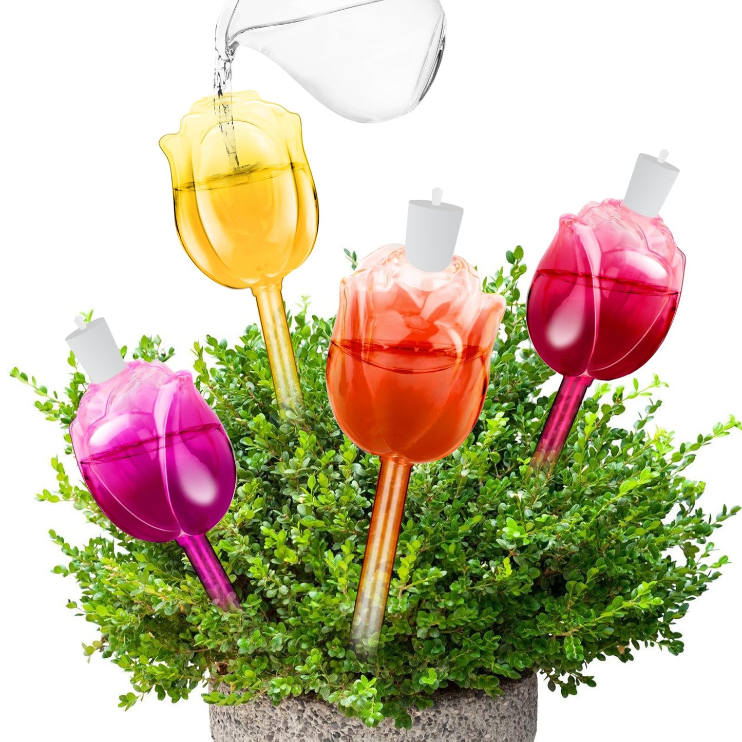 4Pcs Rose Self Watering Globes for Indoor Plants, Iridescent Glass Plant Watering Bulbs with Rainbow Finish, 100ML Decorative Automatic Waterers for Flowers, Ideal for Home Decor & Vacation Gift