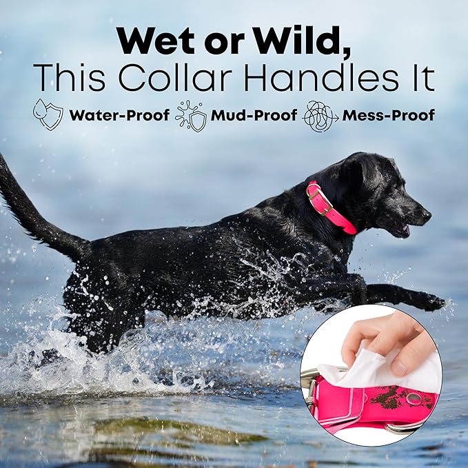 Regal Dog Products Large Pink Dog Collar with Heavy Duty Double Buckle & D Ring | Vinyl Coated, Custom Fit, Adjustable Biothane Dog Collar | Chew Resistant Waterproof Collar for Dogs