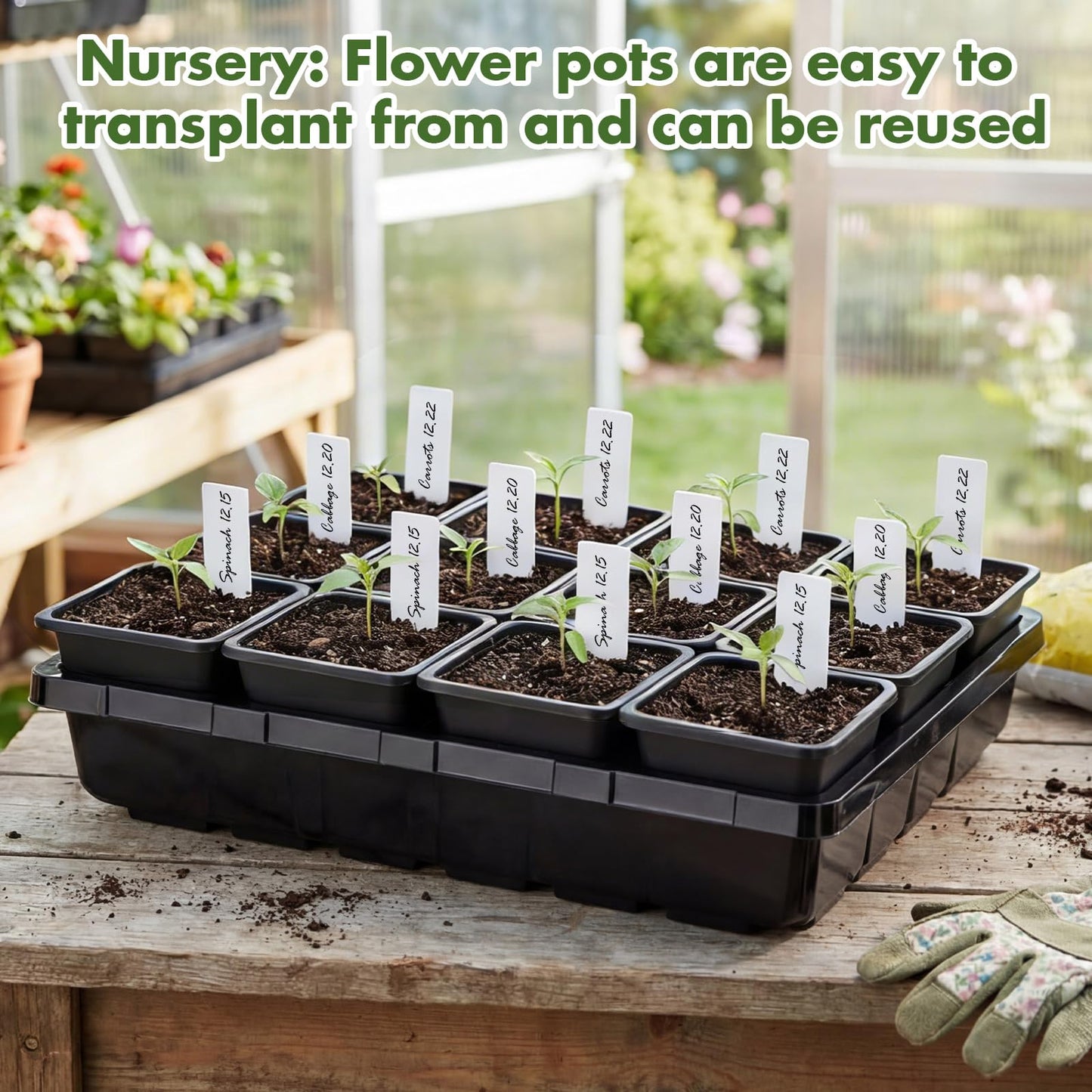 Nuenen Seed Starter Tray 6 Pcs, 3.5 Inch Square Nursery Pots 72 Pcs, Seed Starting Pot with Drainage, Seedling Trays, Microgreenings Plant Propagation Germination Tray, 6 Set