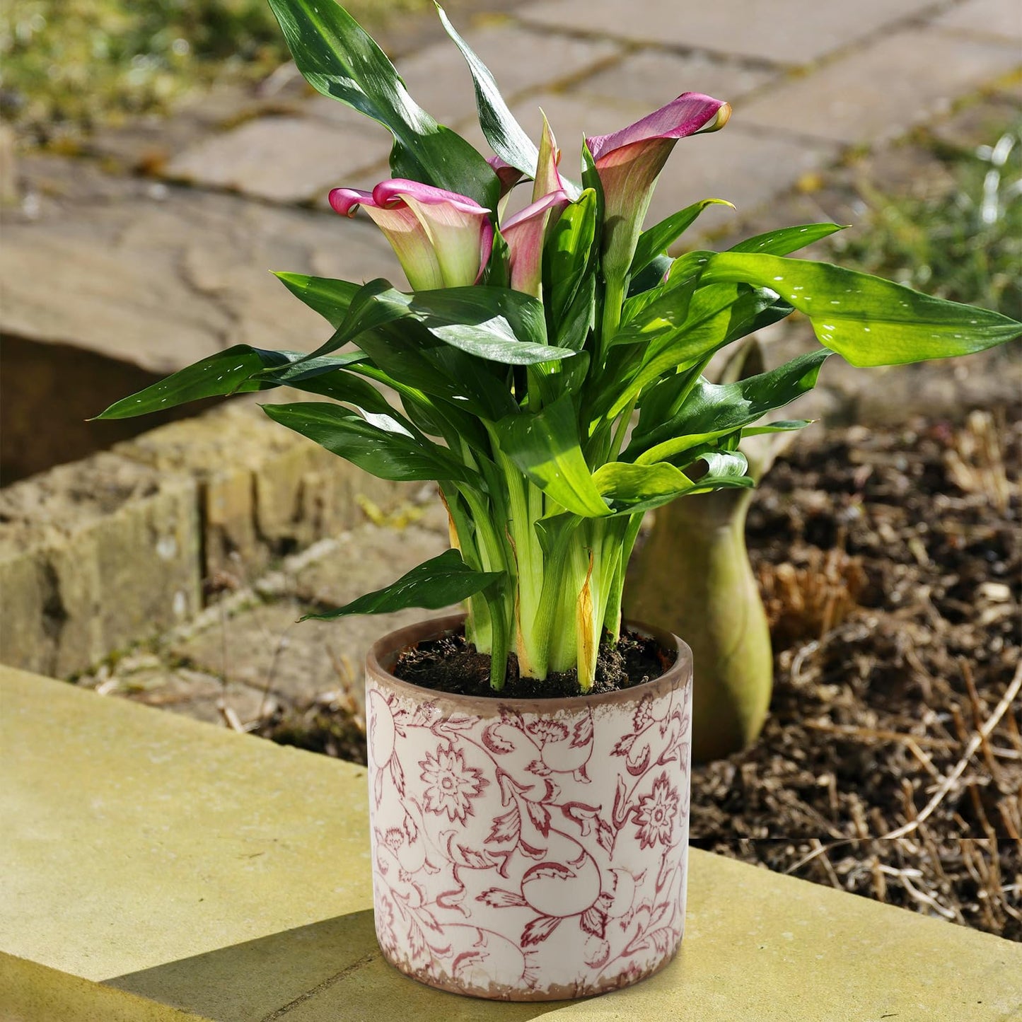 Meltset M Ceramic Planter for Indoor Plant,5 inch Plant Pot with Drainage Small Ceramic Pots Decorative Unique Planter Red for Orchid Succulent Outdoor, Crackle Glaze Finish, Gardening Gift