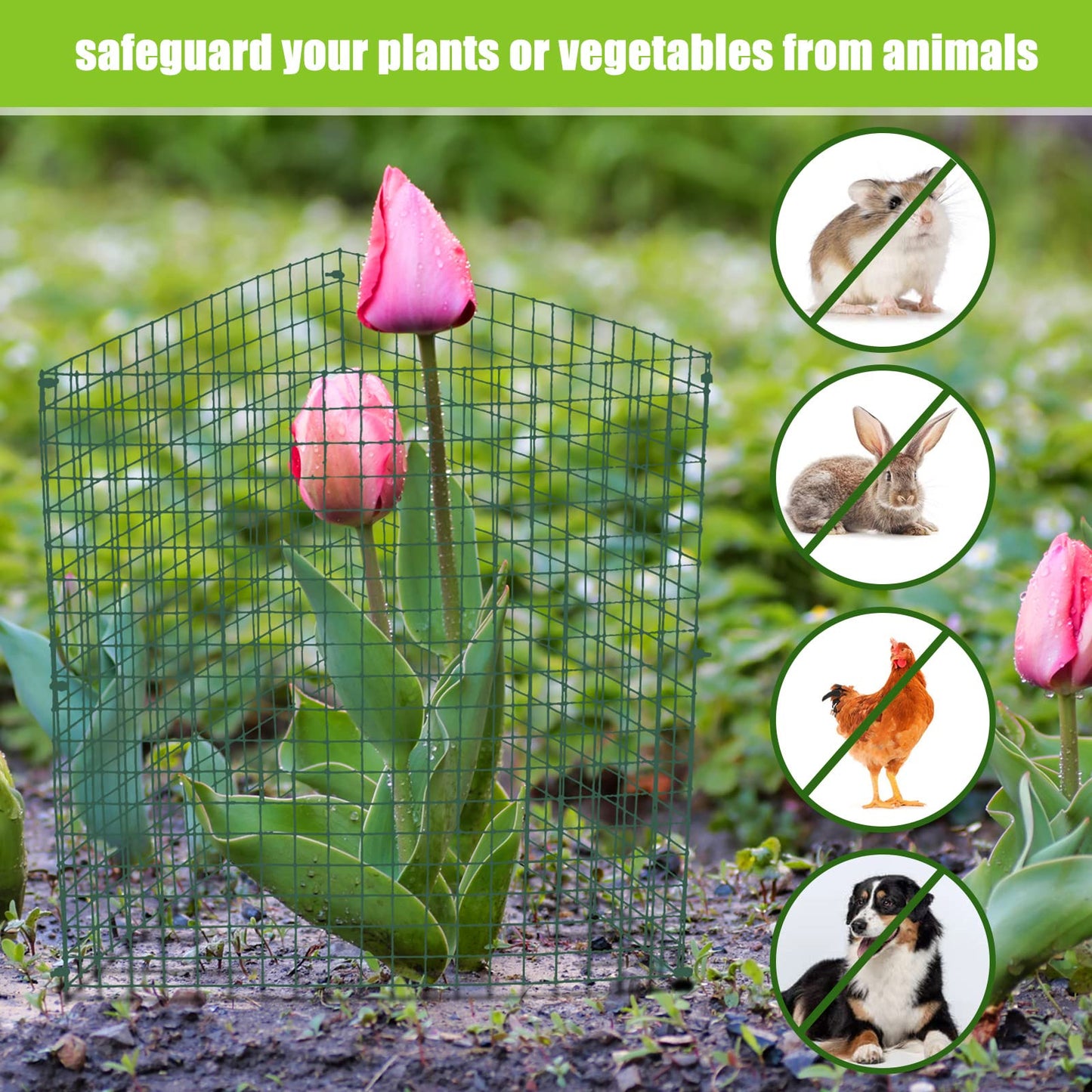 Zubebe 10 Pack Small Wire Plant Protectors Square Plant Protectors from Animals Mesh Cage Chicken Wire Cloche for Shrubs with Ground Stakes and Nylon Ties(Thickness 1mm,Dark Green)
