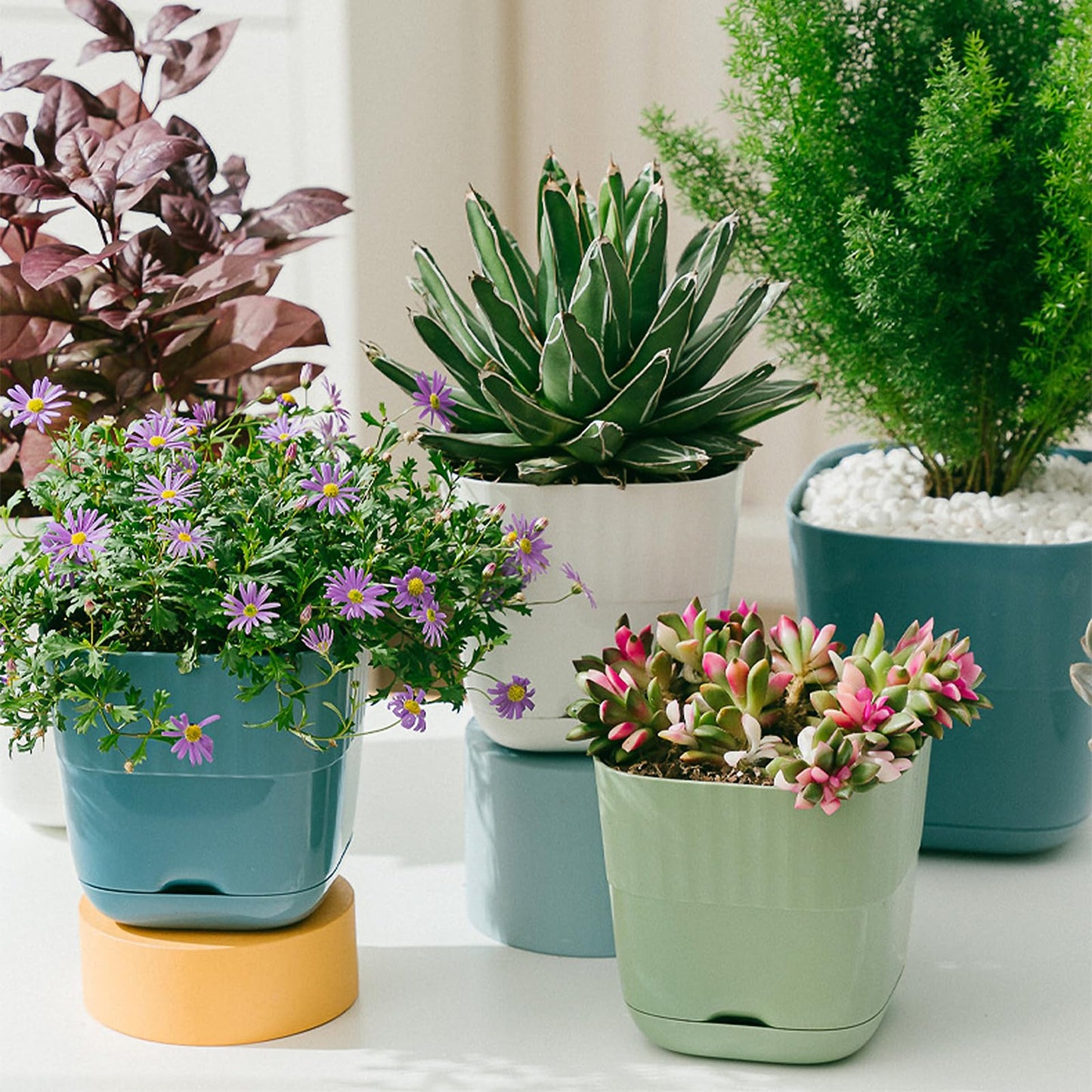 Gidary White Plastic Plant Pots, 6/4.7 Inch 2 Pack, Modern Planters with Drainage Holes and Trays for Indoor Plants, Succulents, Orchids, Herbs