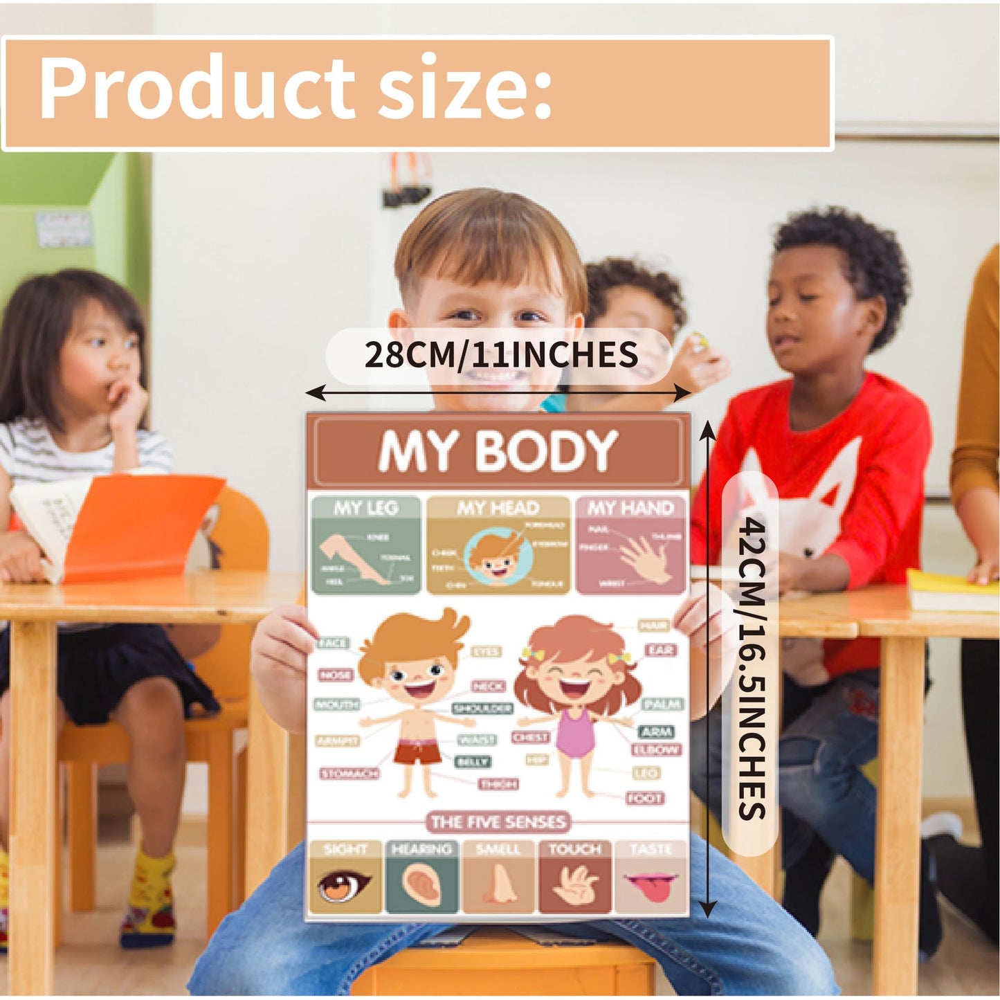 Sruchy 18 Boho Educational Posters for Classroom, 11x17in Laminated Educational Preschool Posters for Toddlers 1-3-5 Years Old - Homeschool, Kindergarten Classroom and Kids' Walls Decor
