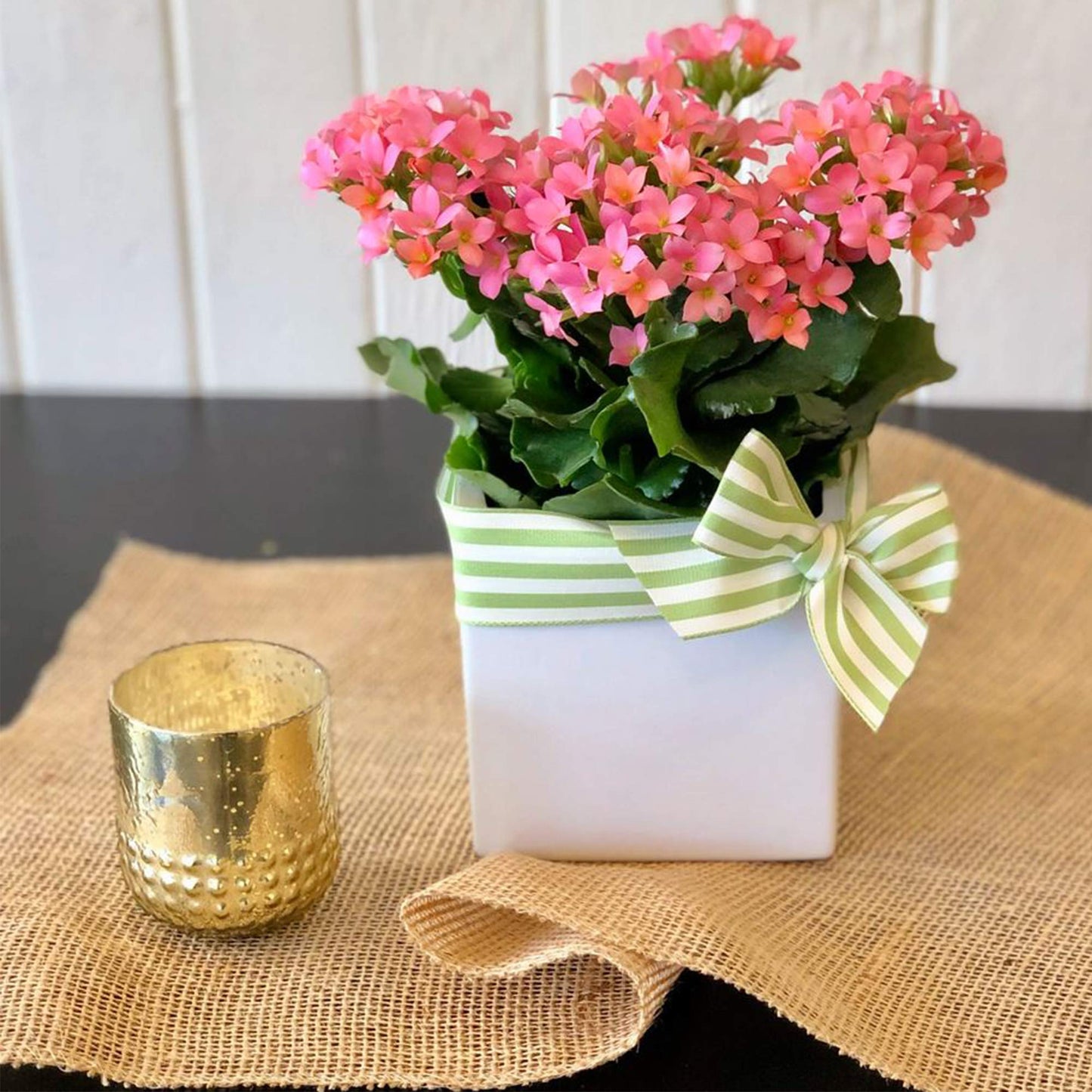 WGVI WGV Ceramic Cube Vase Width 4" Height 4" (Fits 3" Pot) Elegant Modern Block Square Floral Planter Terrarium Container Table Dresser for Event Accent Home Office Decor White 1 Piece (Pack of 4)