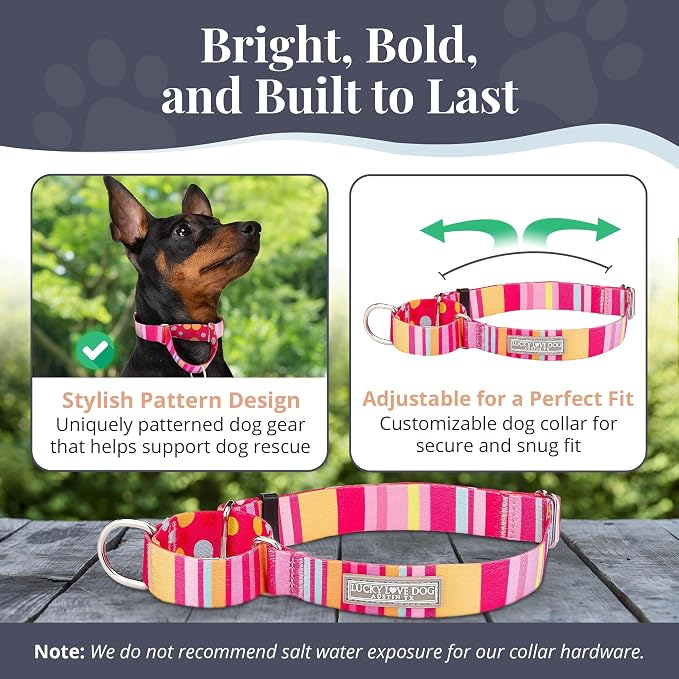 Lucky Love Dog Martingale Dog Collar - Adjustable, No-Slip, Durable, & Soft Webbing Collar for Male and Female Dogs Ideal for Training & Walking - Molly, Medium