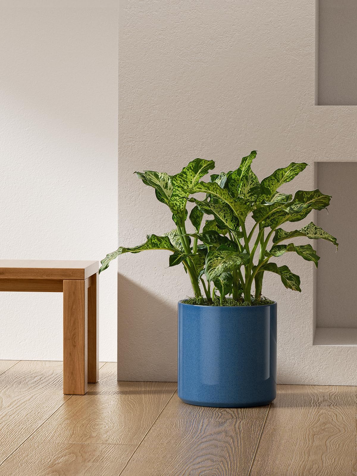 LE TAUCI 12 Inch Pot for Plants, Ceramic Planters for Indoor Plants, Mid-Century Modern Cylinder Flower Pots with Drainage Hole, Fits Fiddle Leaf Fig & Monstera, Home Decor, Harbor Blue