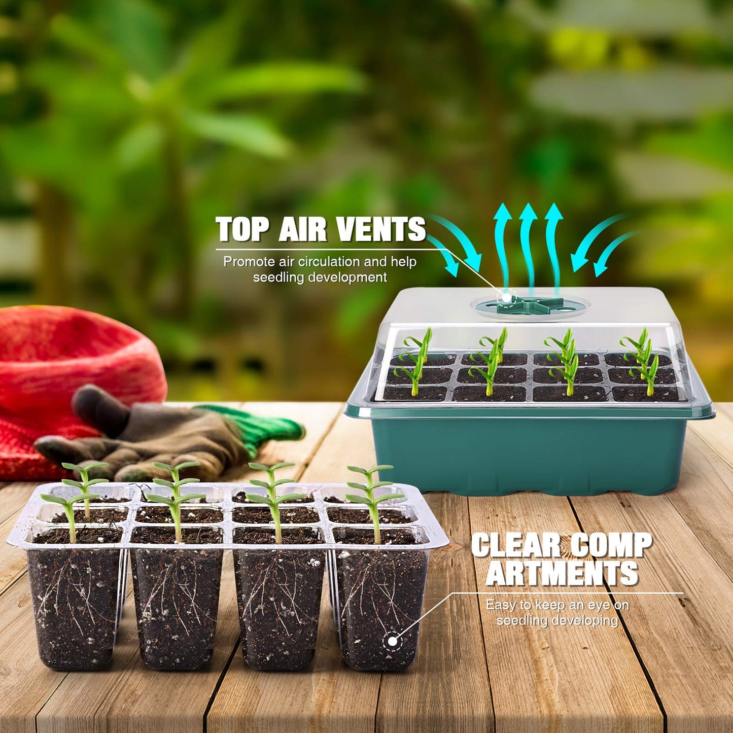 Delxo 10-Pack Seed Starter Kit Seedling Starter Tray (12 Cells) Humidity Adjustable Plant Germination Kit Garden Seed Starting Tray with Dome and Green Base Plus Plant Tags Hand Tool Kit