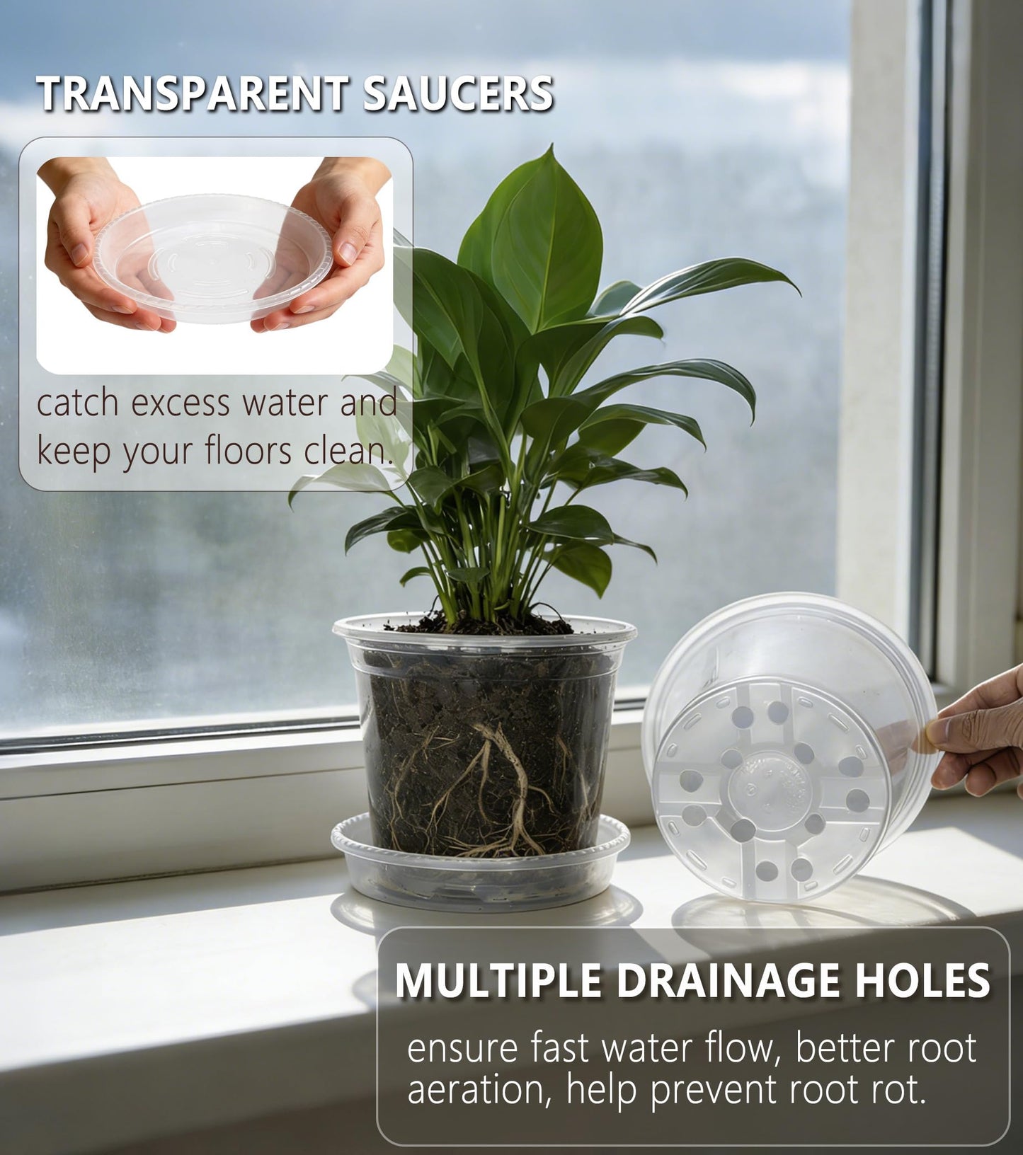 RZOIKZOI 20-Pack Clear Nursery Pots with Saucers (4/5/6/7 Inch)– Transparent Plastic Plant Pots with Drainage Holes and 20 Labels, Assorted Sizes for Seed Starting, Succulents, Indoor and Outdoor Use