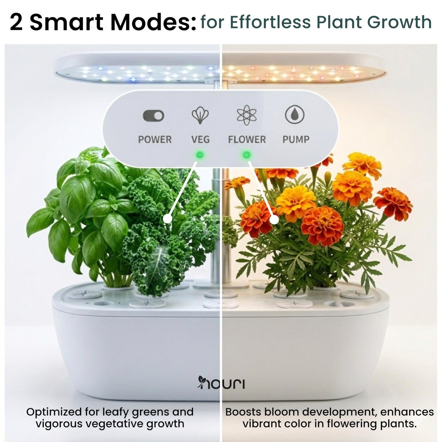 Nouri Hydroponics Growing System, 12 pod APP Smart Indoor Herb Garden Kit with LED Grow Lights, Hydroponic Herb Garden Indoor for Plant Lovers, Gardeners, Kitchen, Basil Seeds Included