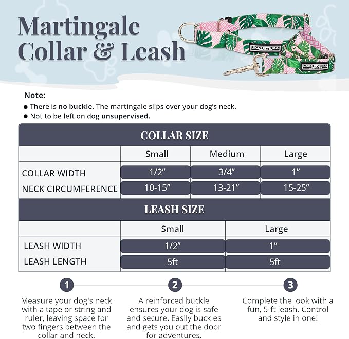 Lucky Love Dog Martingale Dog Collar & Leash - Adjustable, No-Slip, Durable, Comfortable, Soft Webbing, & Stylish Patterned Collar & Leash Set for Male and Female Dogs - Laguna Mart Combo, Large